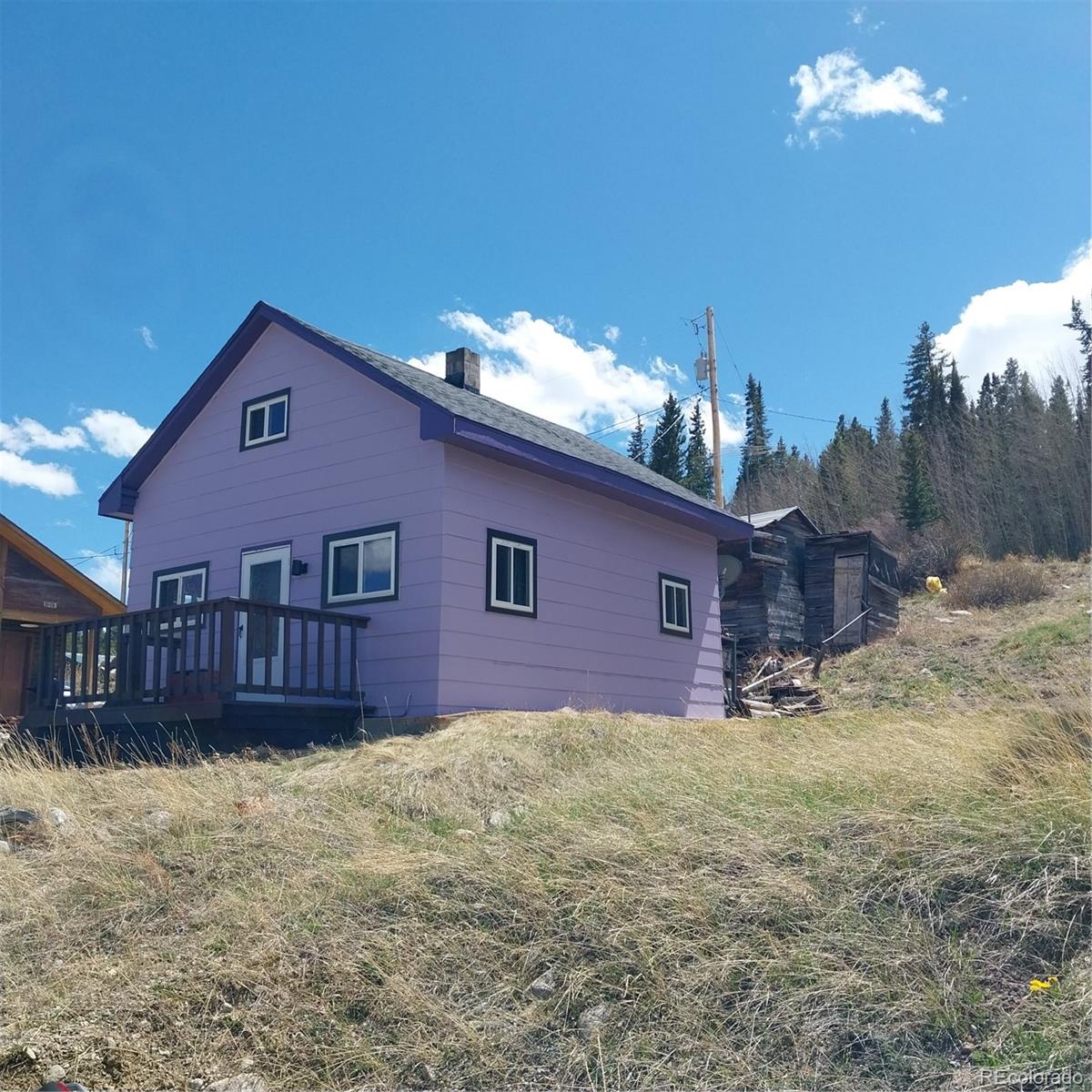 MLS Image #1 for 33 s oak street,alma, Colorado