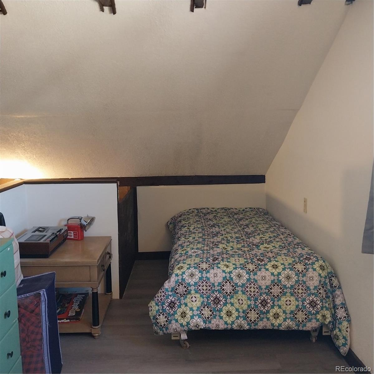 MLS Image #28 for 33 s oak street,alma, Colorado