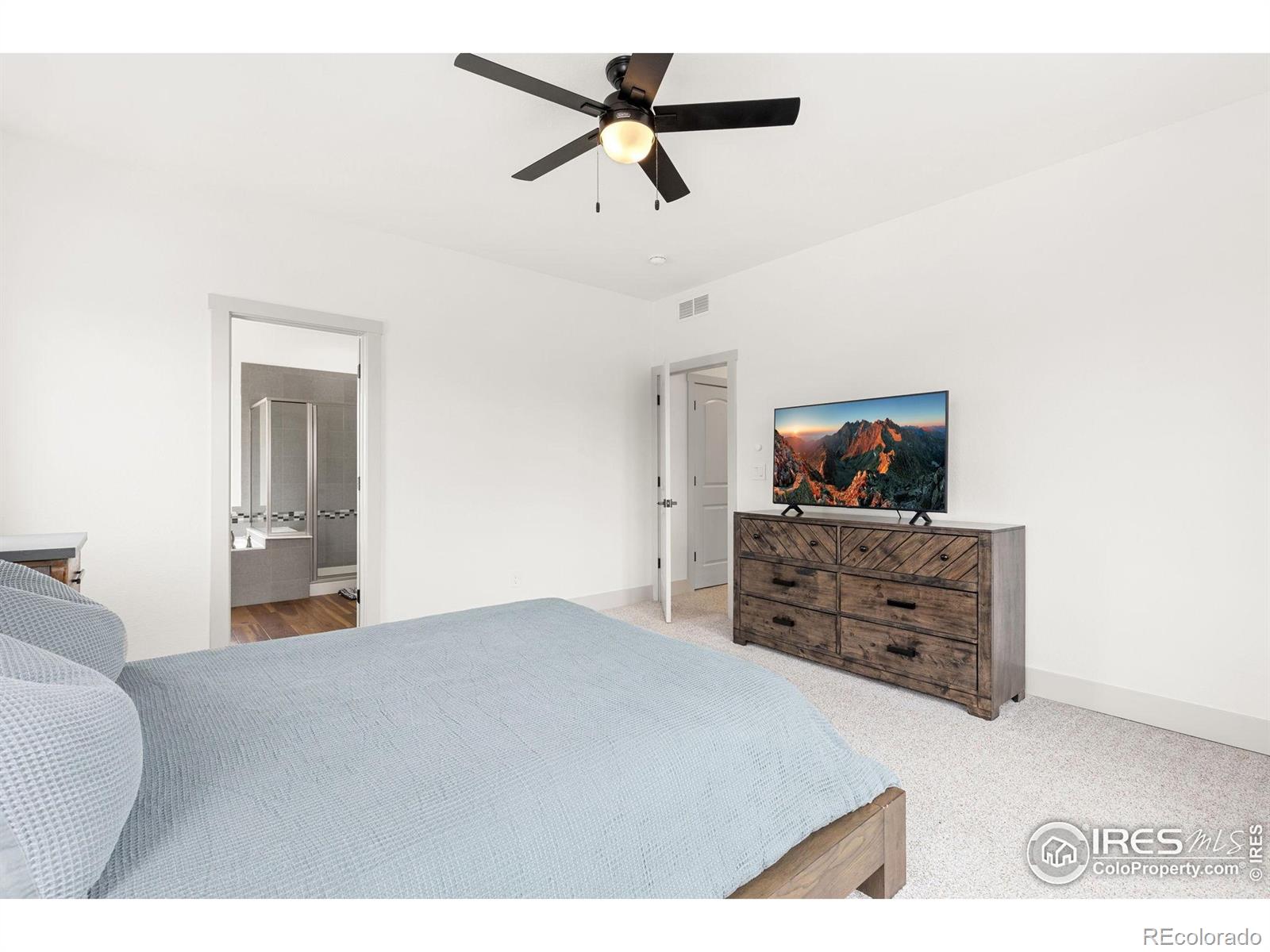 MLS Image #21 for 1424  bluemoon drive,longmont, Colorado
