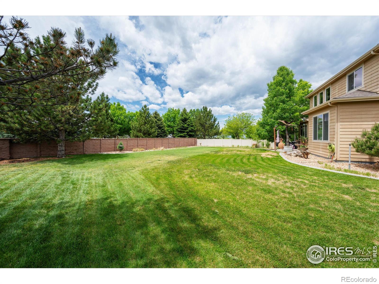 MLS Image #2 for 7401  pimlico drive,windsor, Colorado