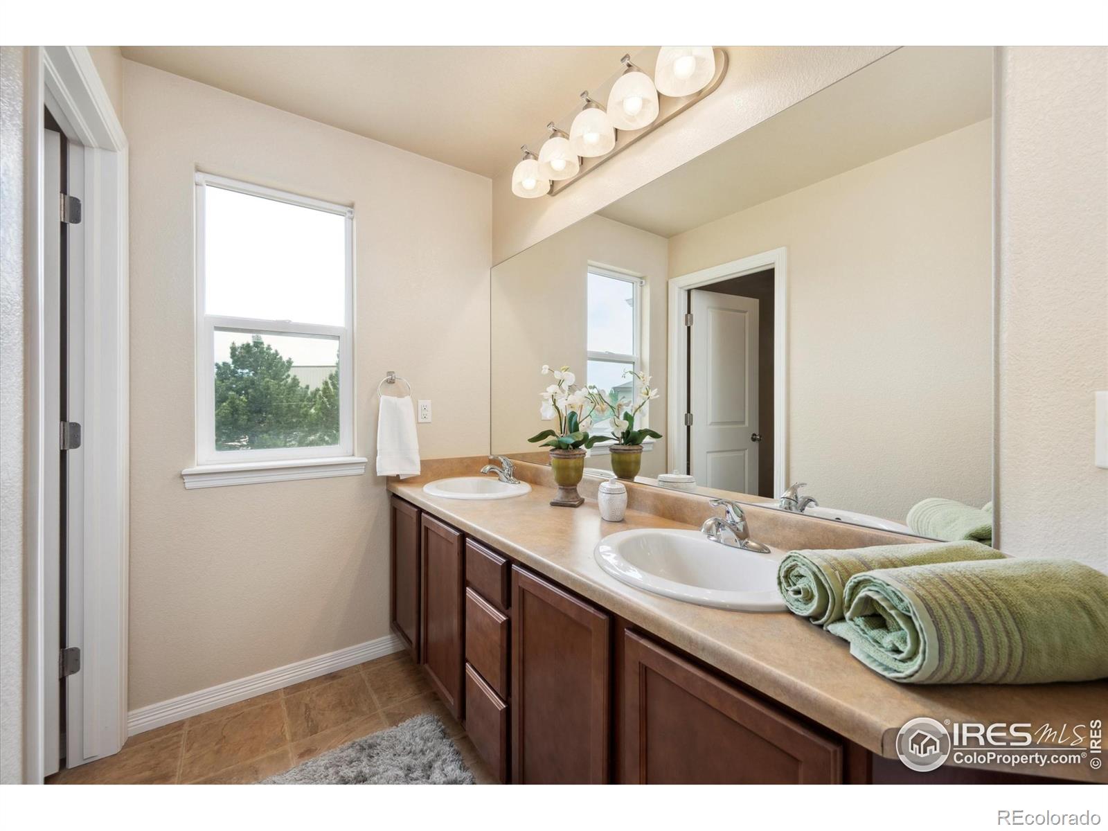 MLS Image #25 for 7401  pimlico drive,windsor, Colorado