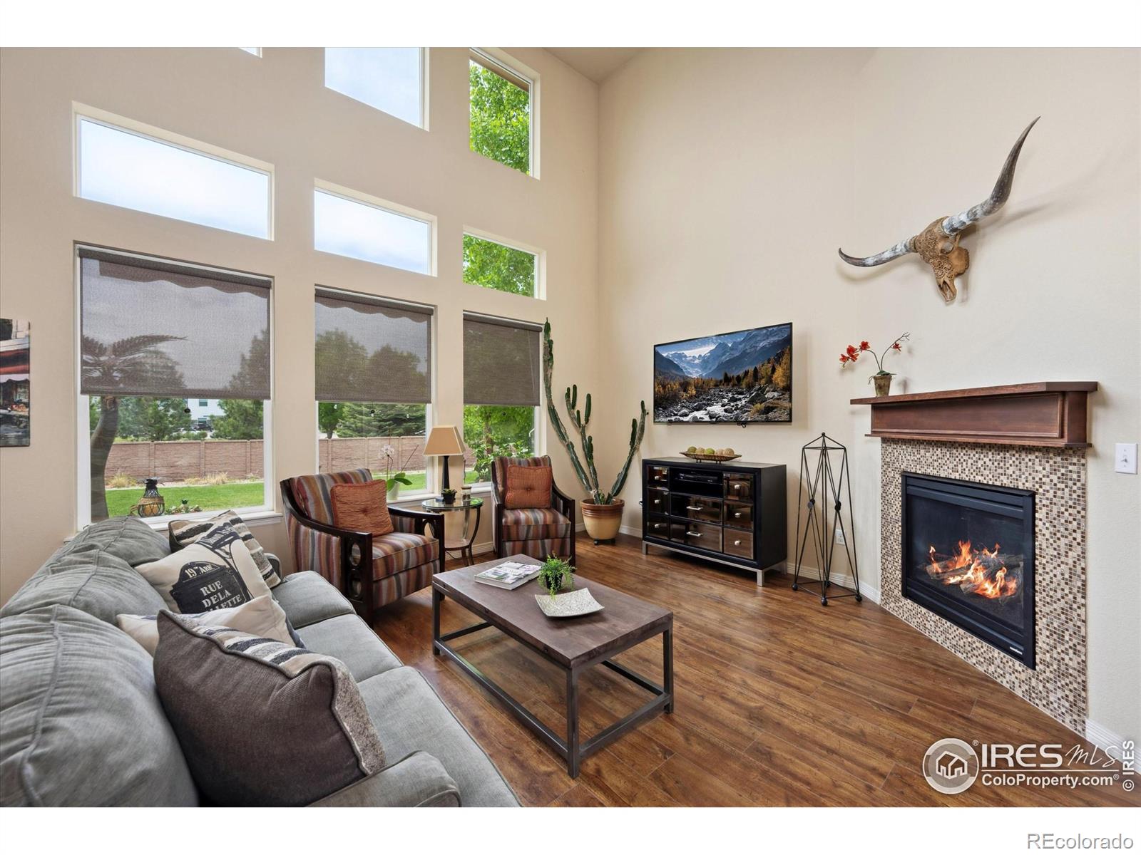 MLS Image #5 for 7401  pimlico drive,windsor, Colorado
