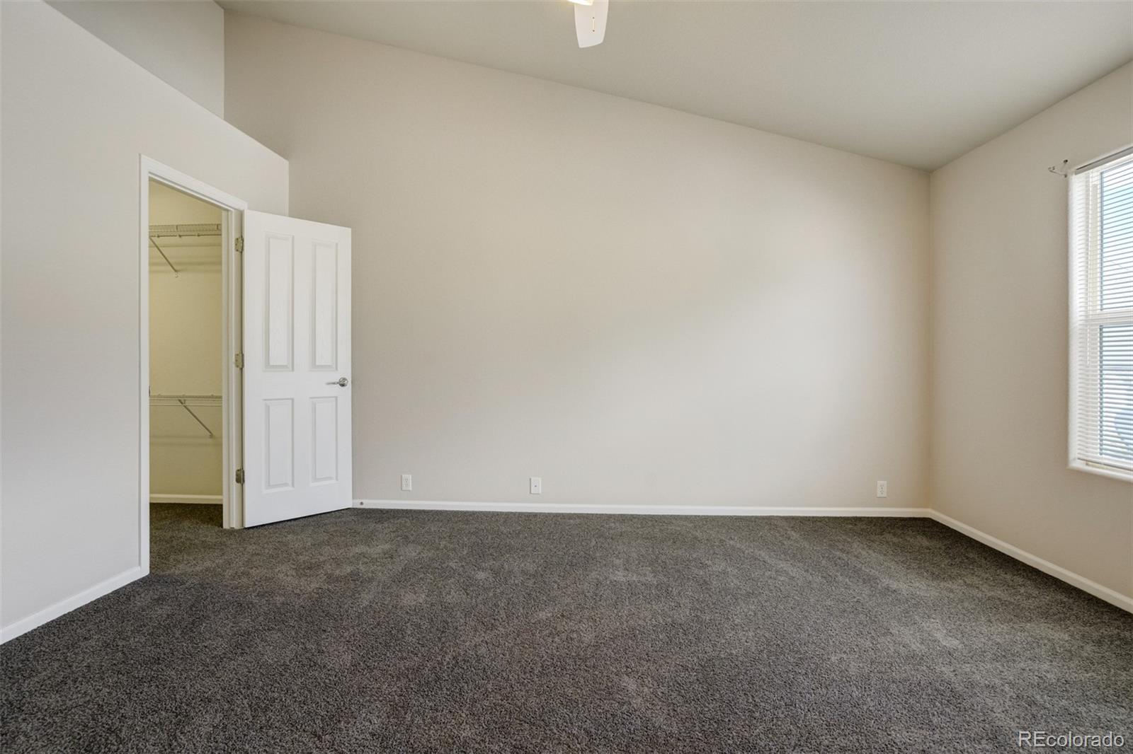 MLS Image #10 for 7046  red sand grove,colorado springs, Colorado