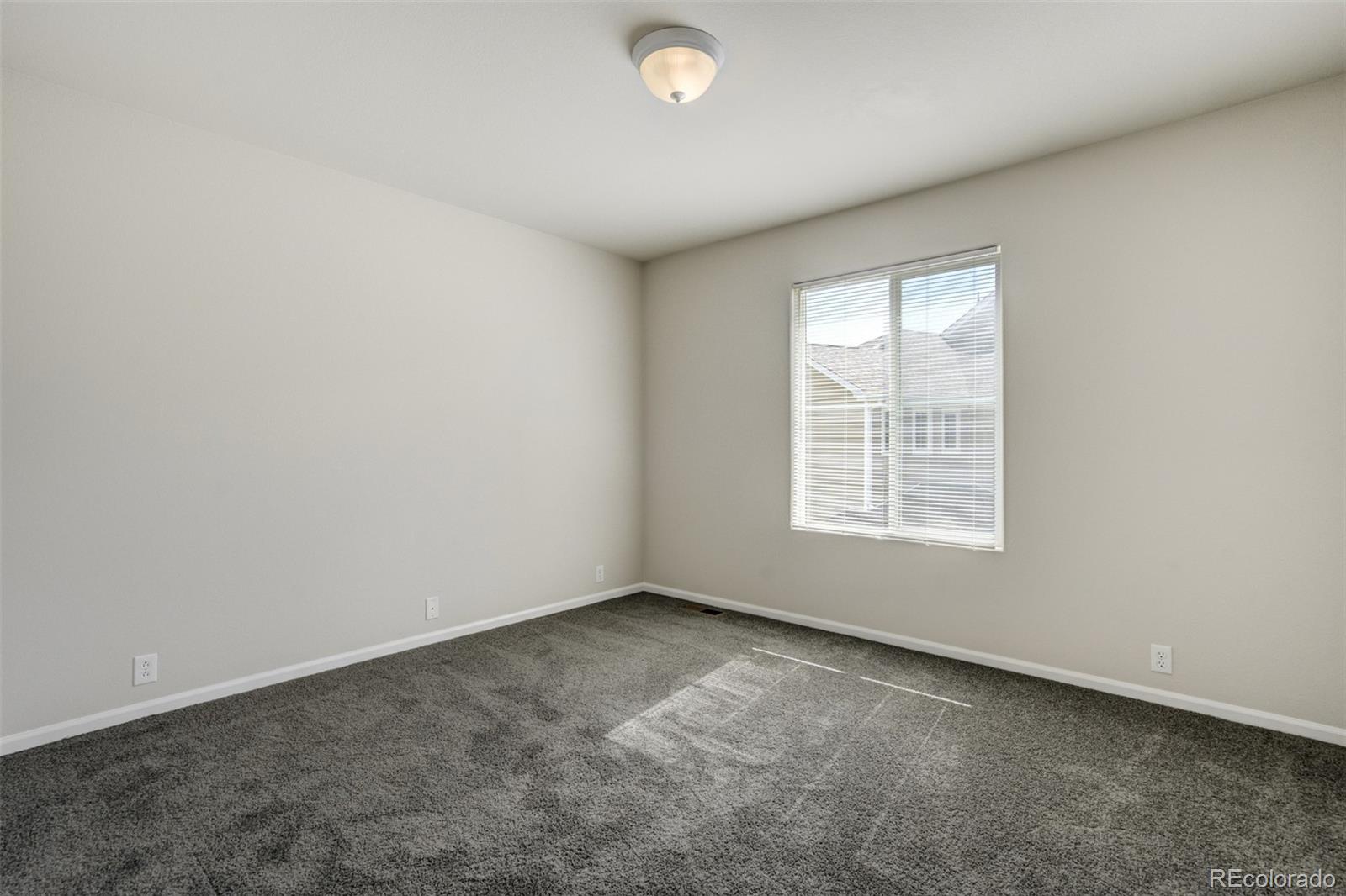 MLS Image #15 for 7046  red sand grove,colorado springs, Colorado