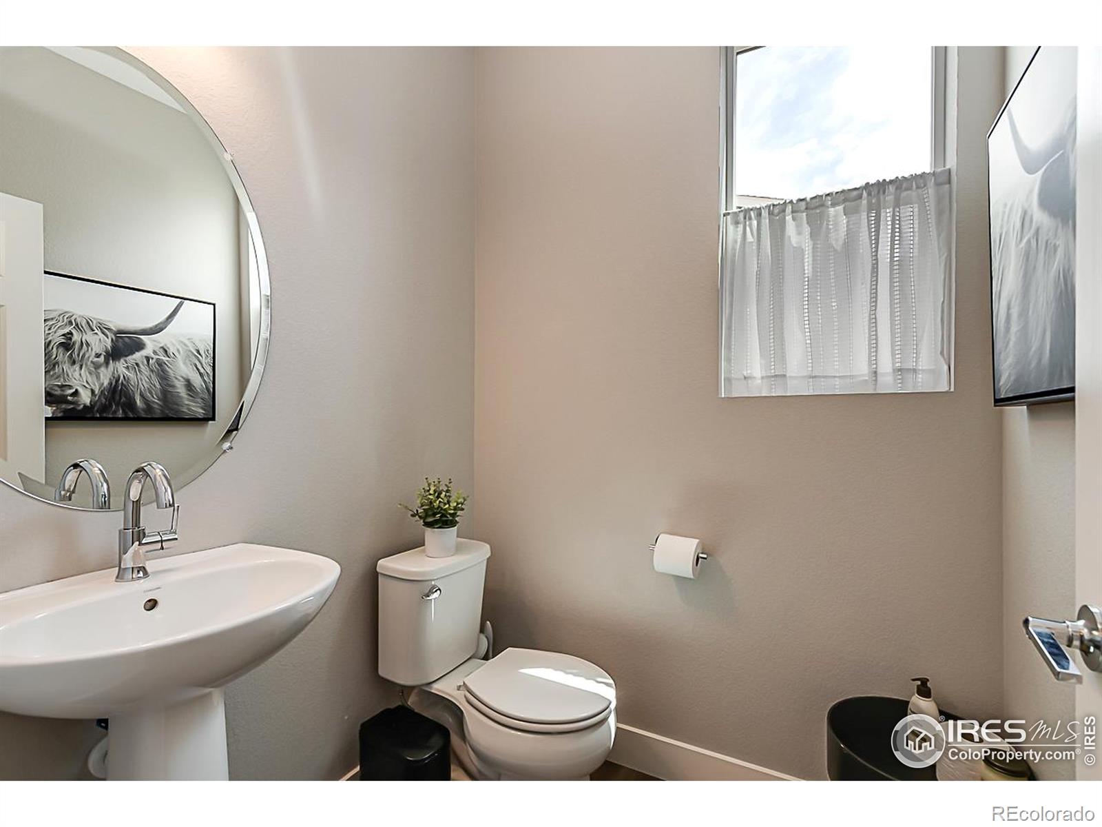 MLS Image #14 for 6398  verna court,timnath, Colorado