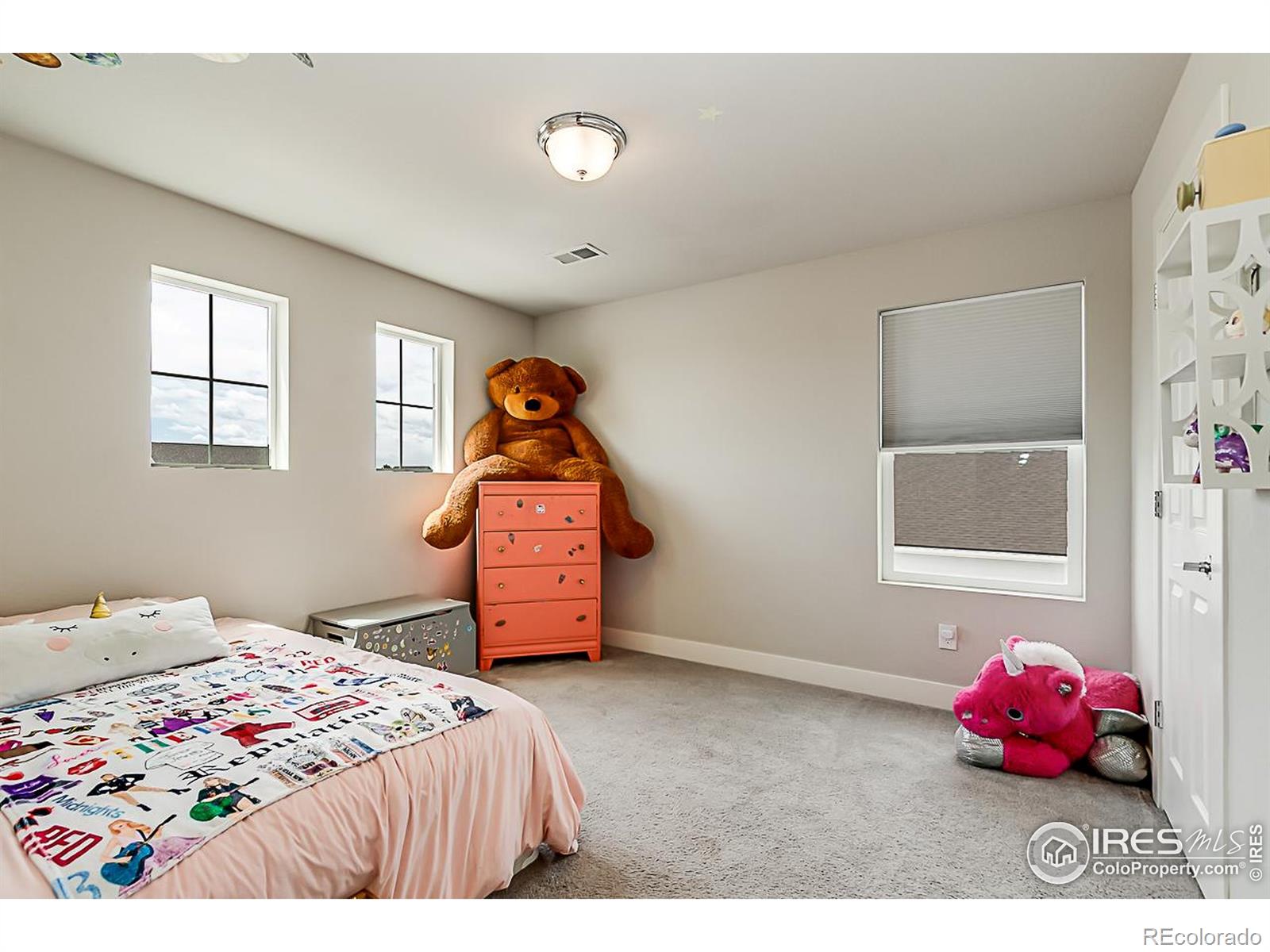 MLS Image #19 for 6398  verna court,timnath, Colorado