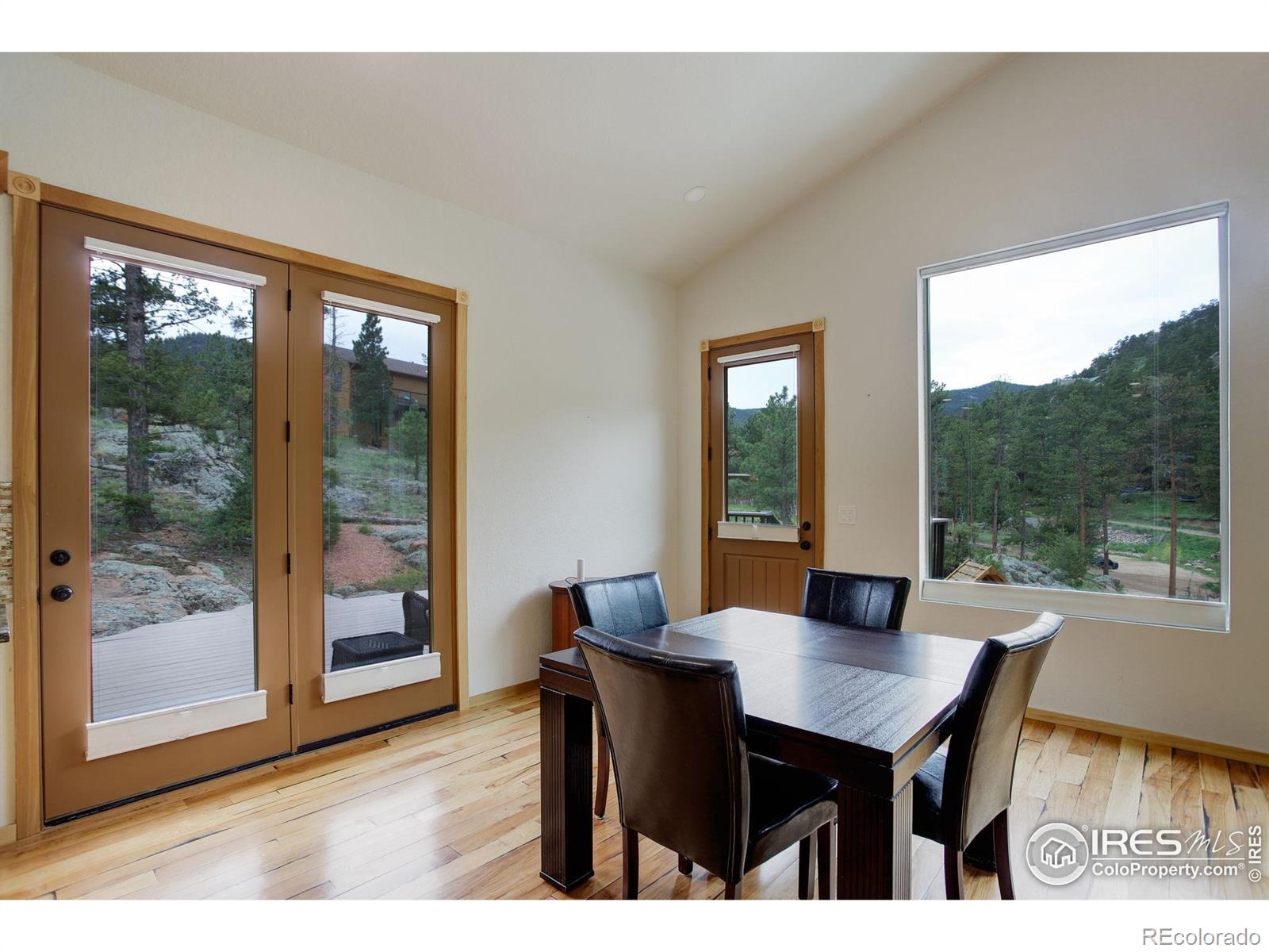 MLS Image #10 for 178  cree court,lyons, Colorado