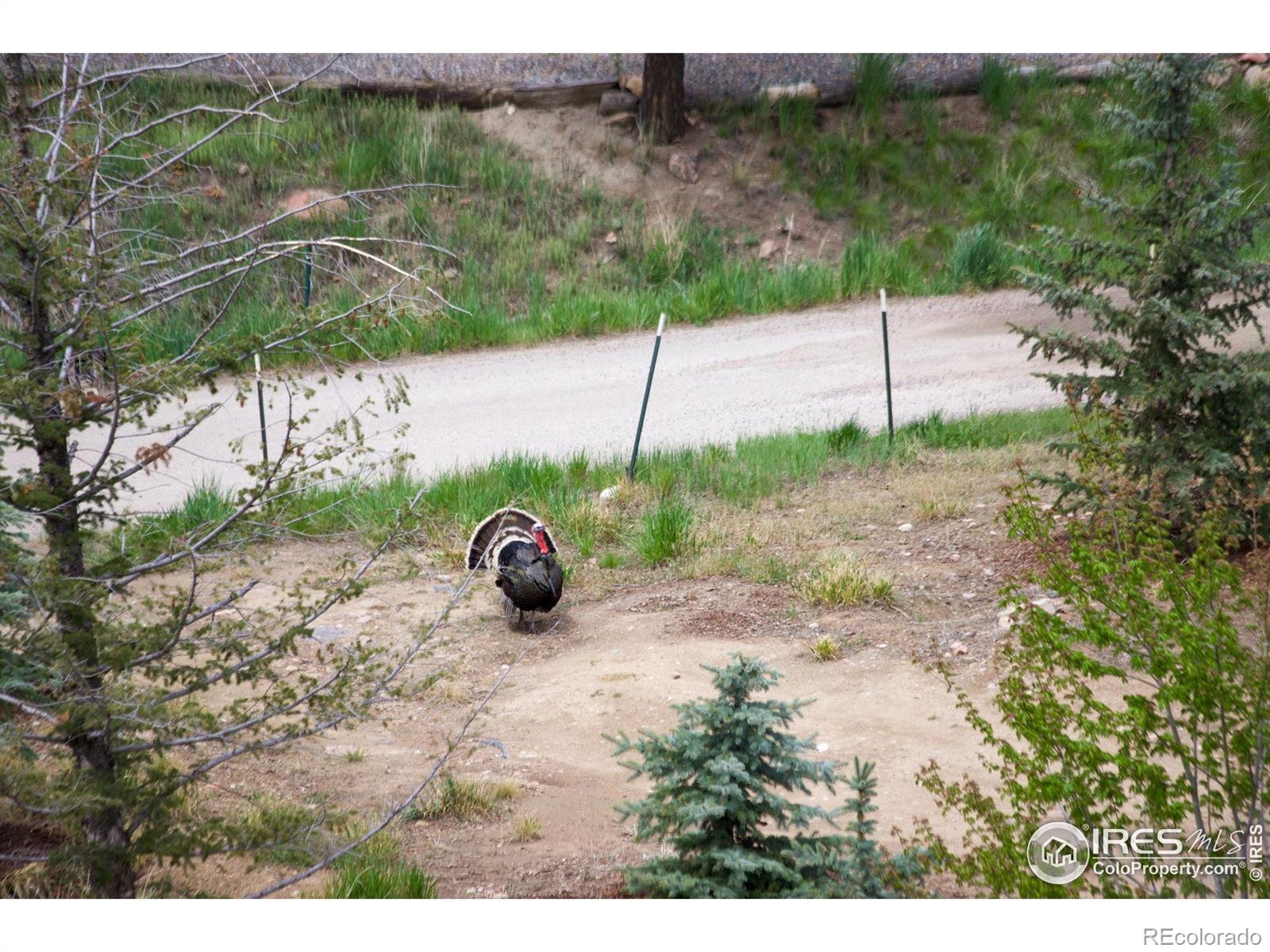 MLS Image #38 for 178  cree court,lyons, Colorado