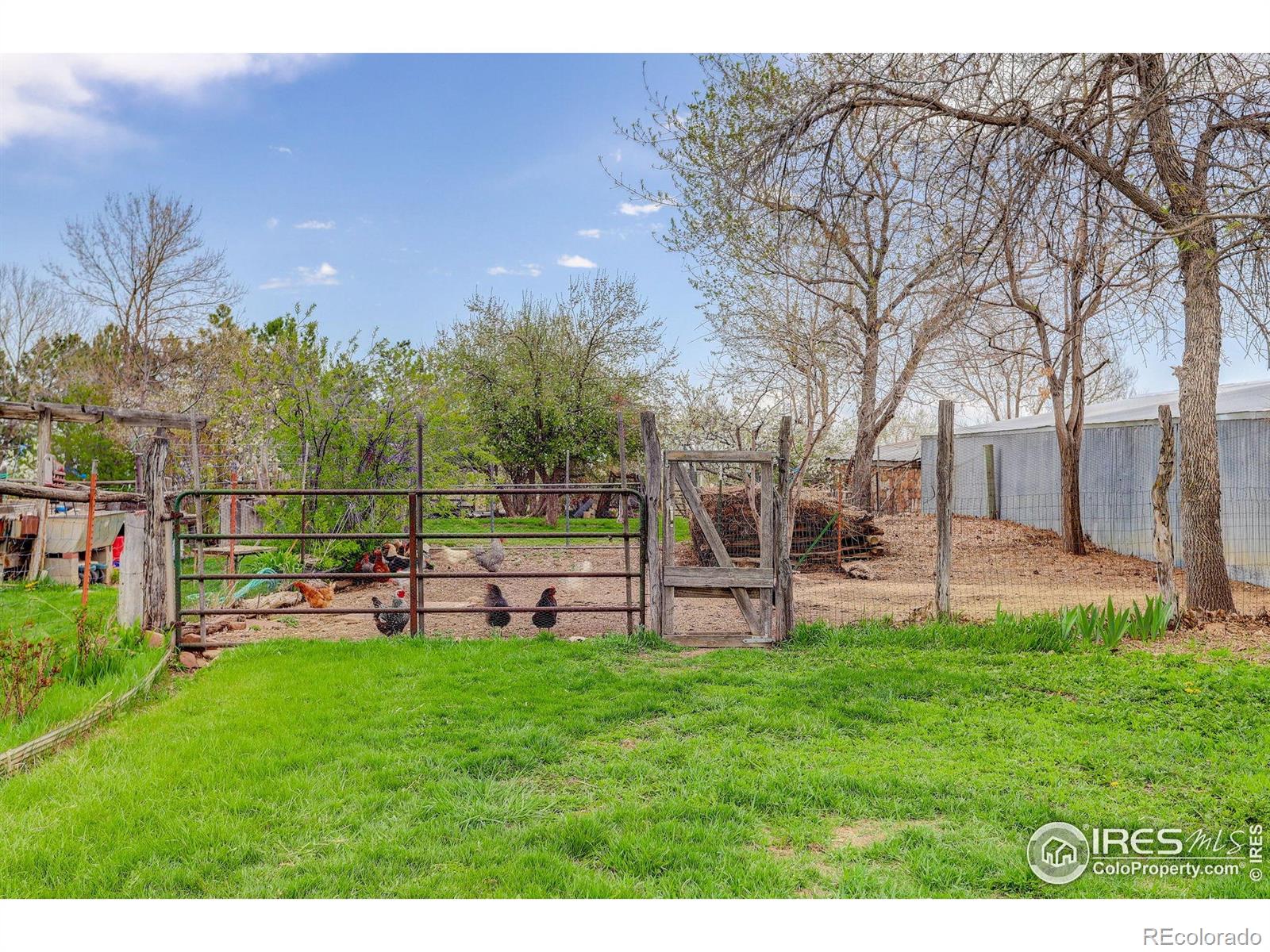 MLS Image #31 for 9445  lykins place,boulder, Colorado