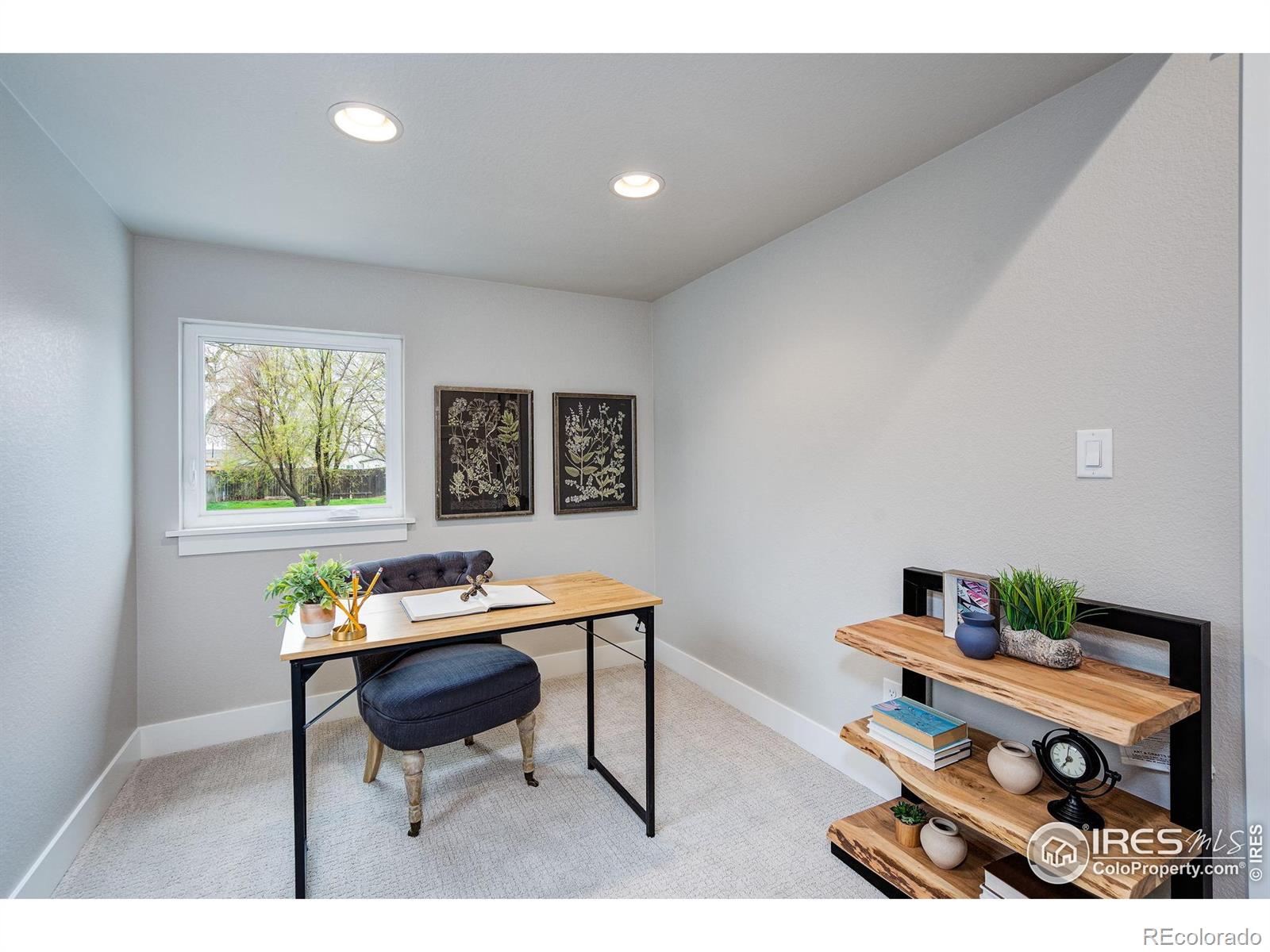MLS Image #24 for 217  locust street,windsor, Colorado