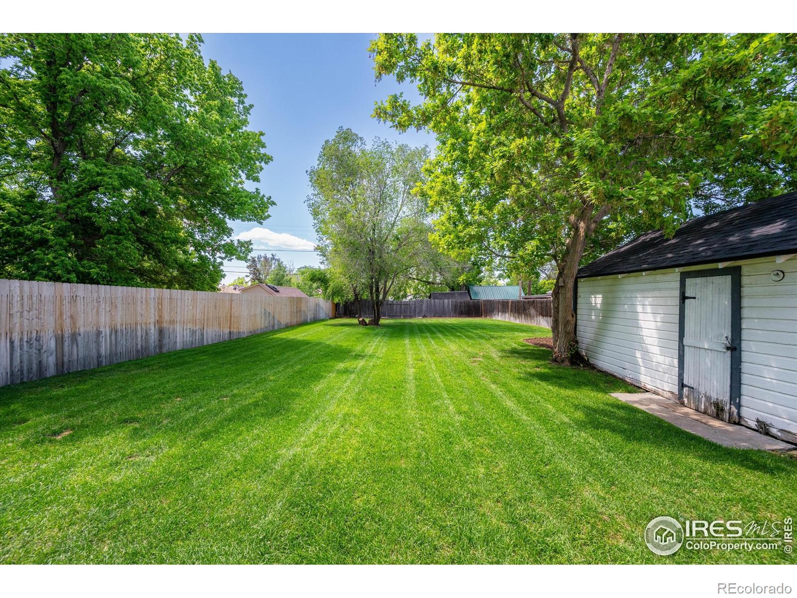 MLS Image #25 for 217  locust street,windsor, Colorado