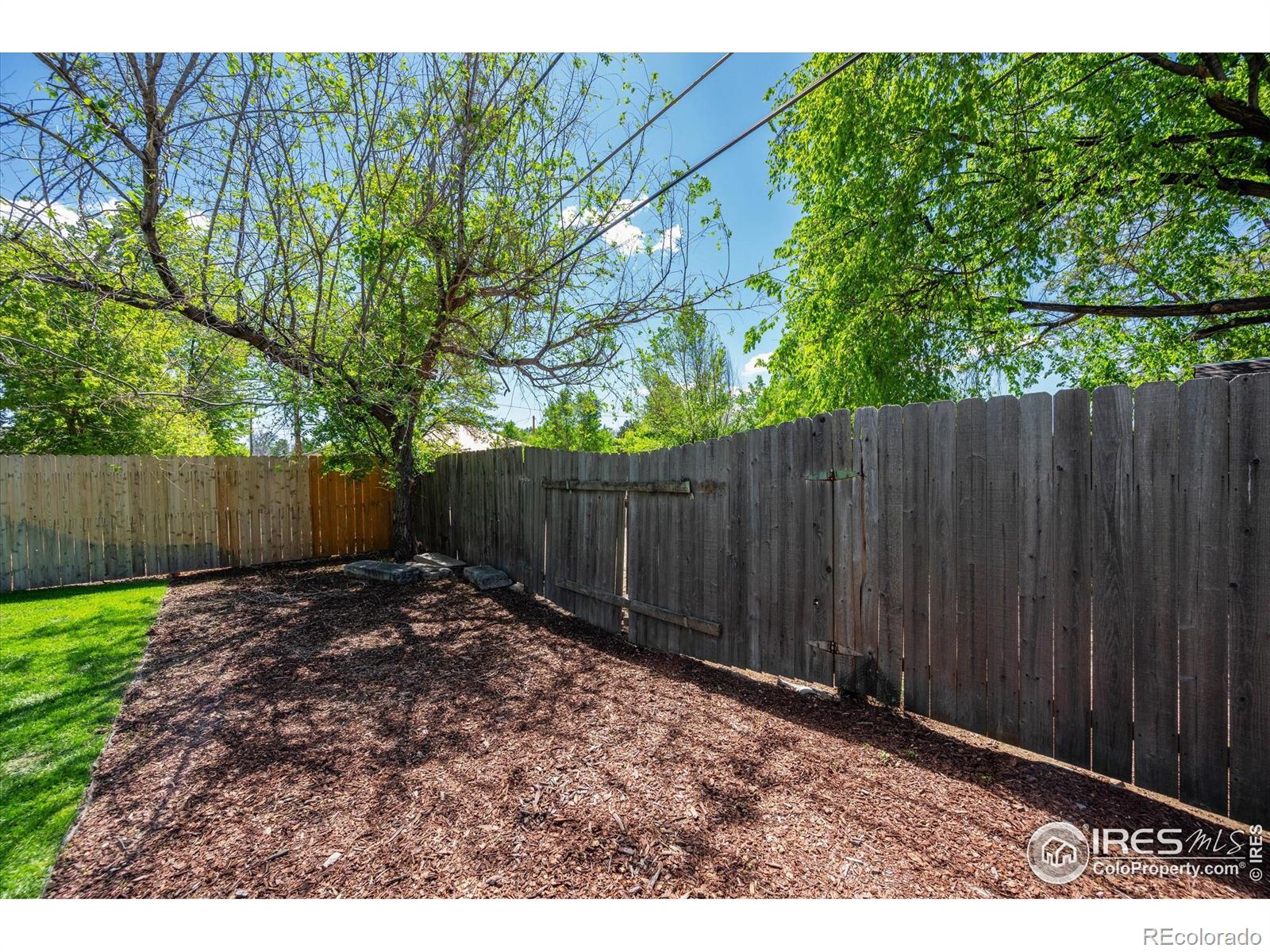 MLS Image #34 for 217  locust street,windsor, Colorado