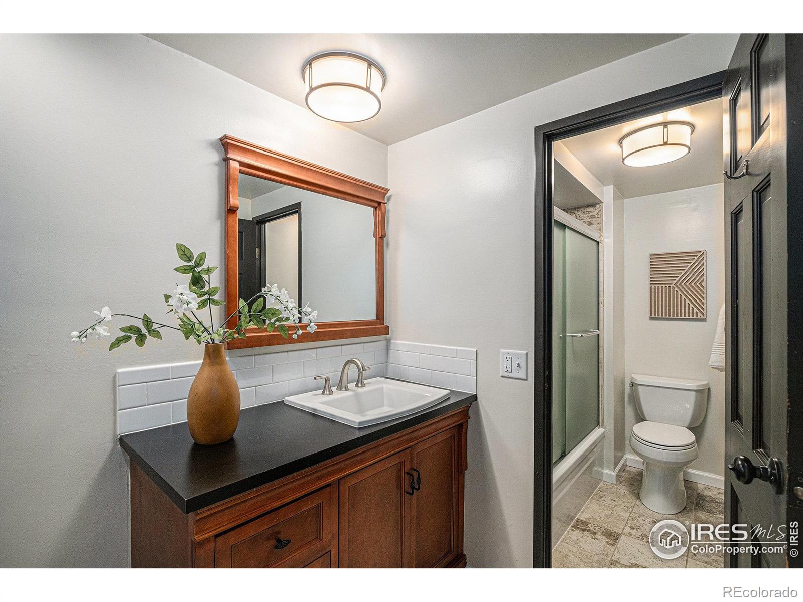 MLS Image #14 for 415 s howes street,fort collins, Colorado