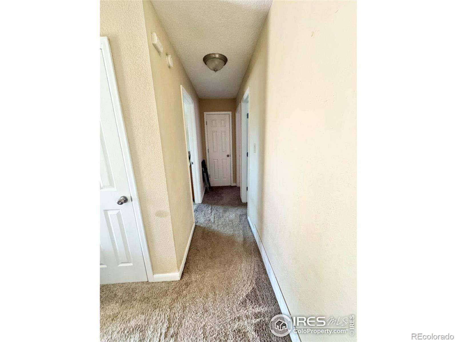 MLS Image #2 for 2614  willard drive,colorado springs, Colorado