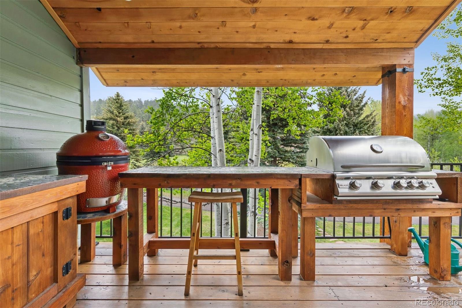 MLS Image #13 for 4230 s meadow brook lane,evergreen, Colorado