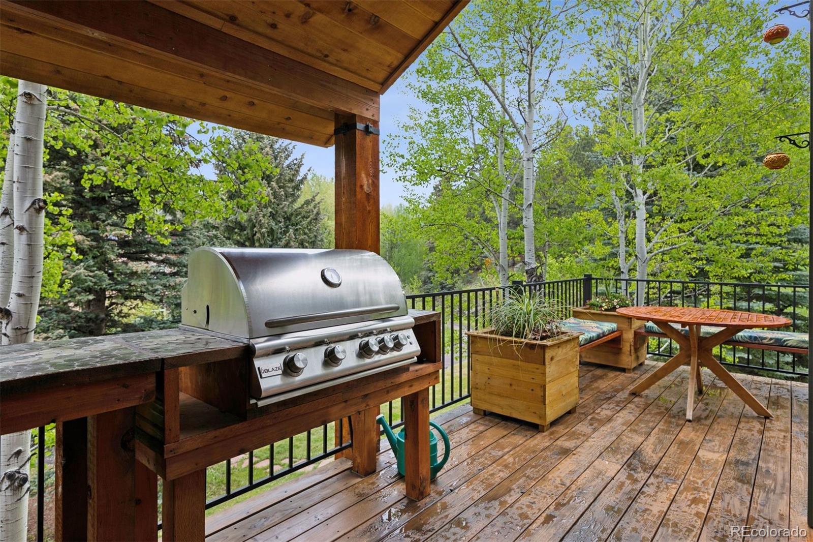 MLS Image #14 for 4230 s meadow brook lane,evergreen, Colorado