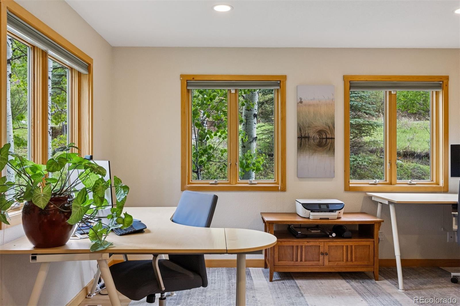MLS Image #18 for 4230 s meadow brook lane,evergreen, Colorado