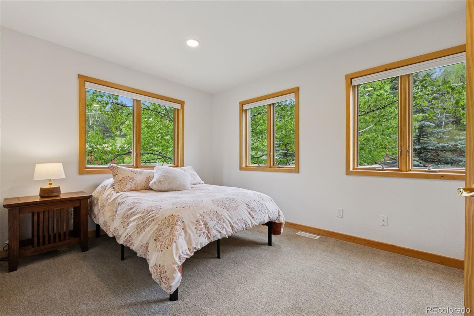 MLS Image #26 for 4230 s meadow brook lane,evergreen, Colorado