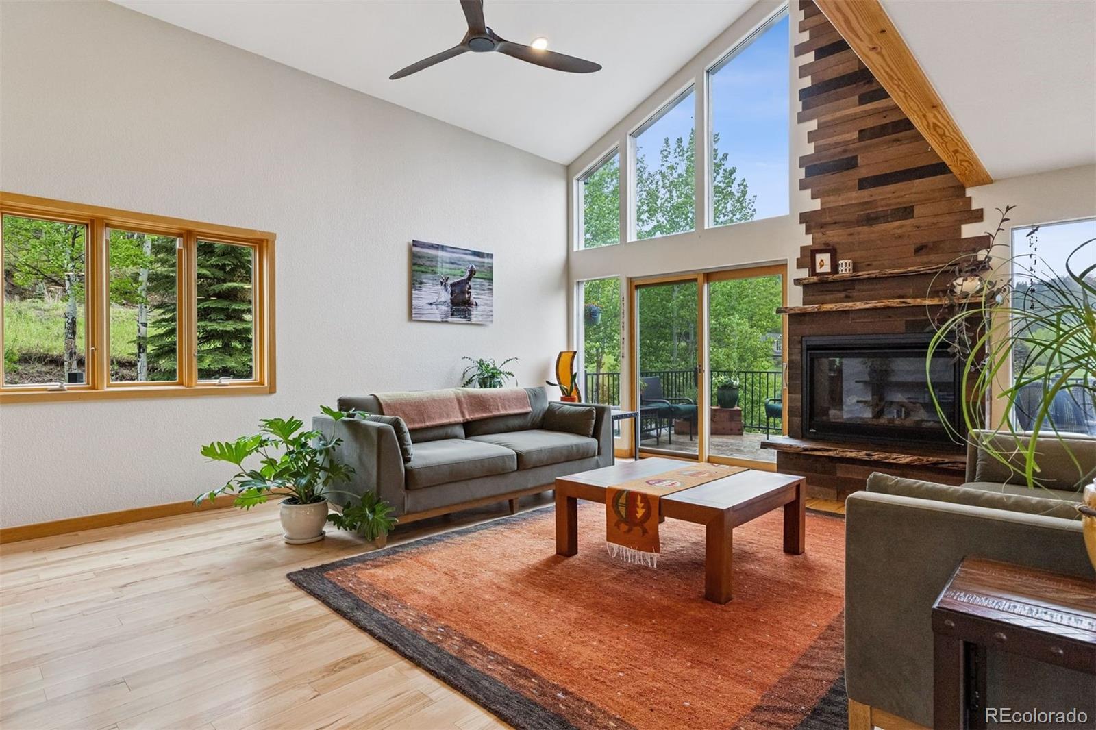 MLS Image #4 for 4230 s meadow brook lane,evergreen, Colorado