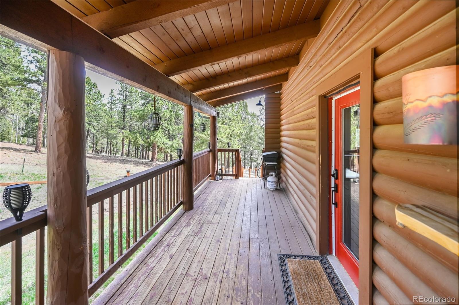 MLS Image #3 for 78  barr lake circle,divide, Colorado