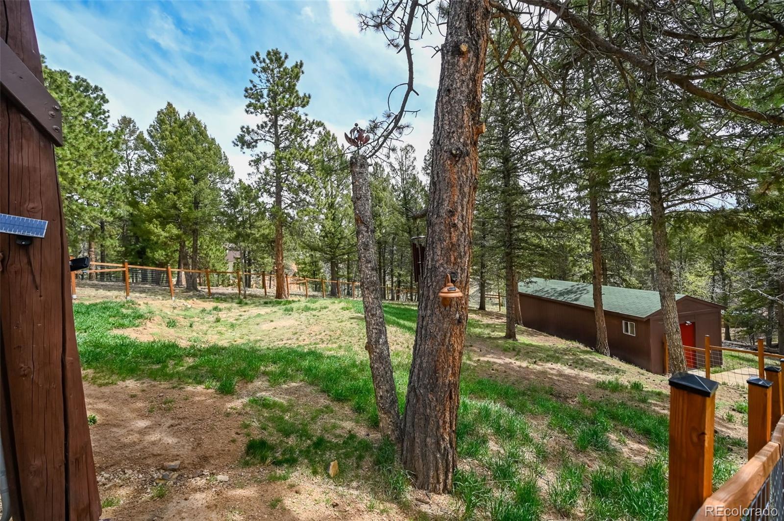 MLS Image #43 for 78  barr lake circle,divide, Colorado