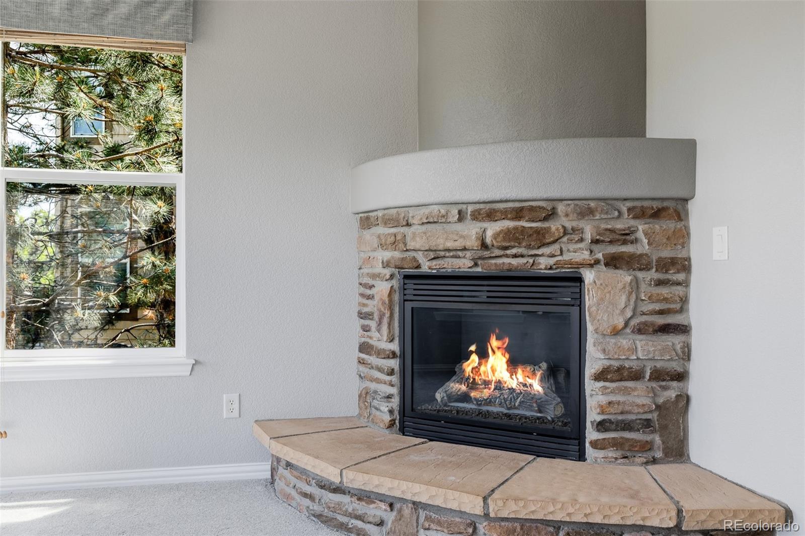 MLS Image #9 for 3126  aspen creek drive,highlands ranch, Colorado