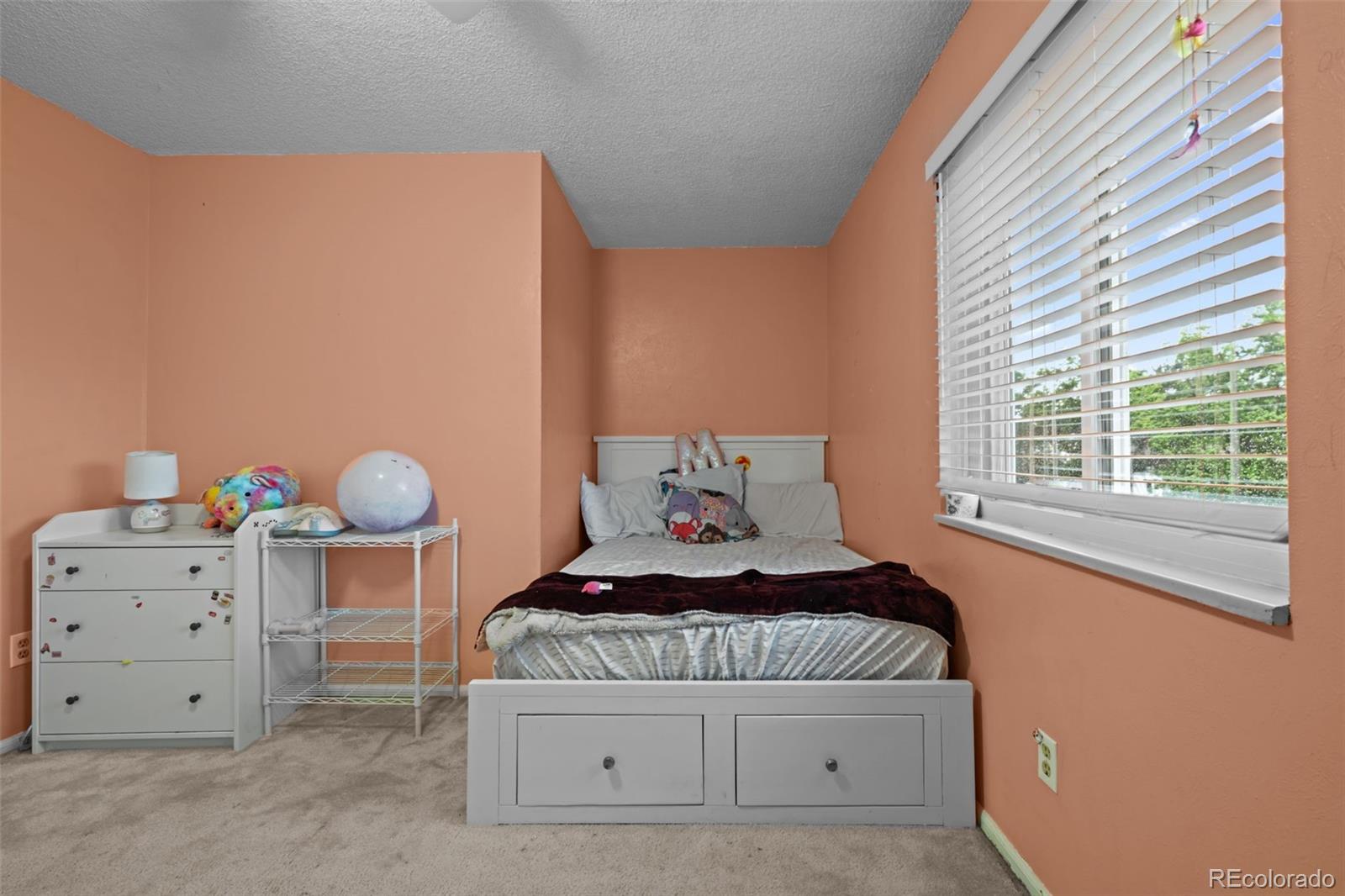 MLS Image #15 for 4550 e 121st place,thornton, Colorado