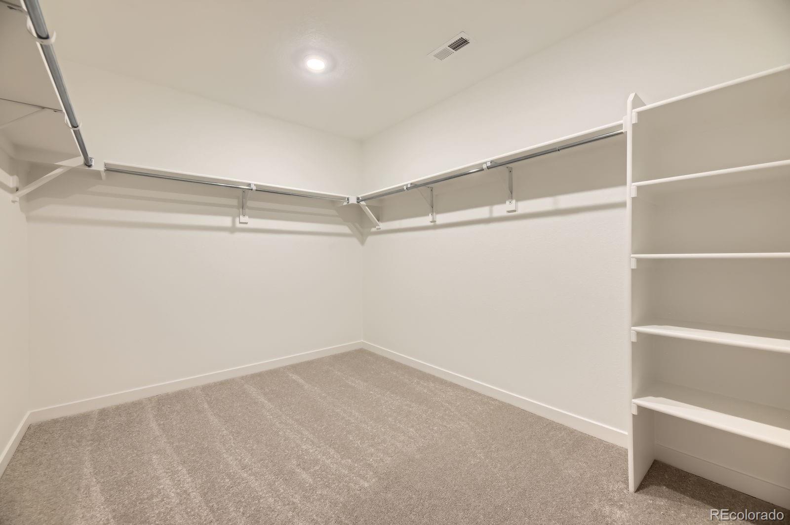 MLS Image #10 for 7321  waterleaf trail,littleton, Colorado