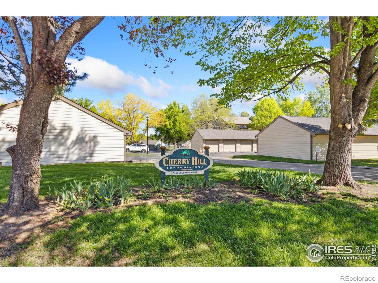 MLS Image #19 for 3465  lochwood drive,fort collins, Colorado