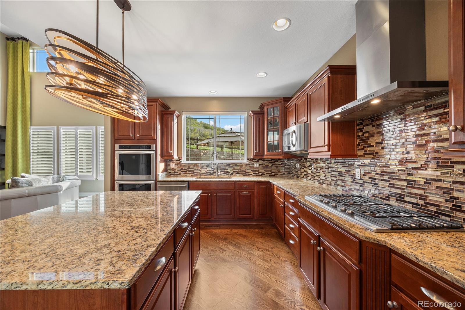 MLS Image #17 for 1133  lucky court,castle rock, Colorado