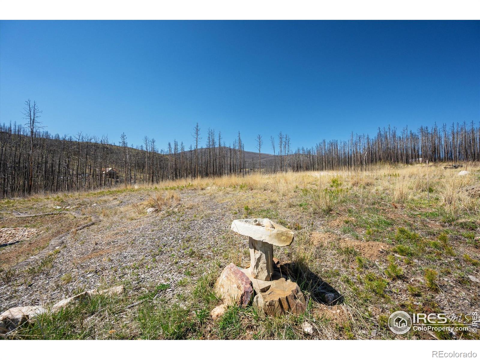 MLS Image #22 for 777  powder horn trail,bellvue, Colorado