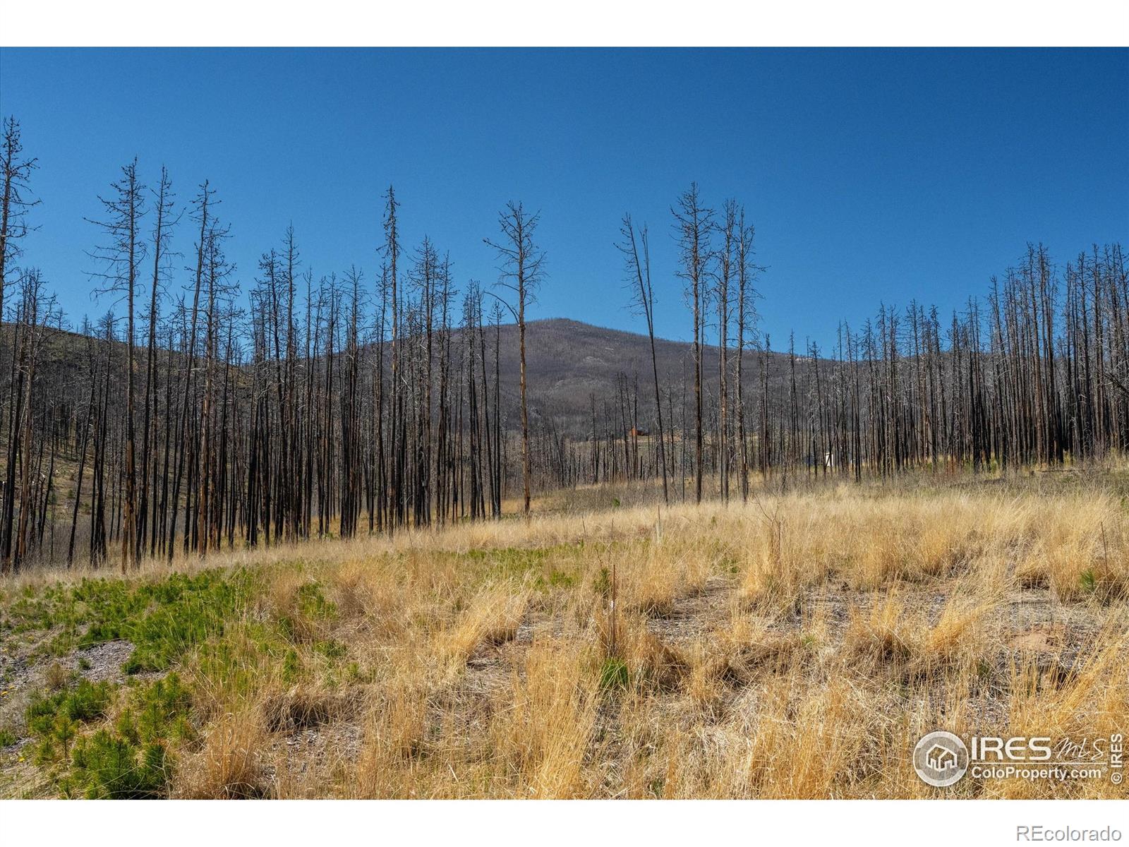 MLS Image #30 for 777  powder horn trail,bellvue, Colorado