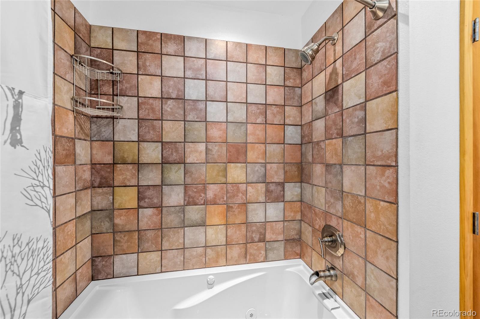 MLS Image #22 for 180  ridge road,cimarron, Colorado