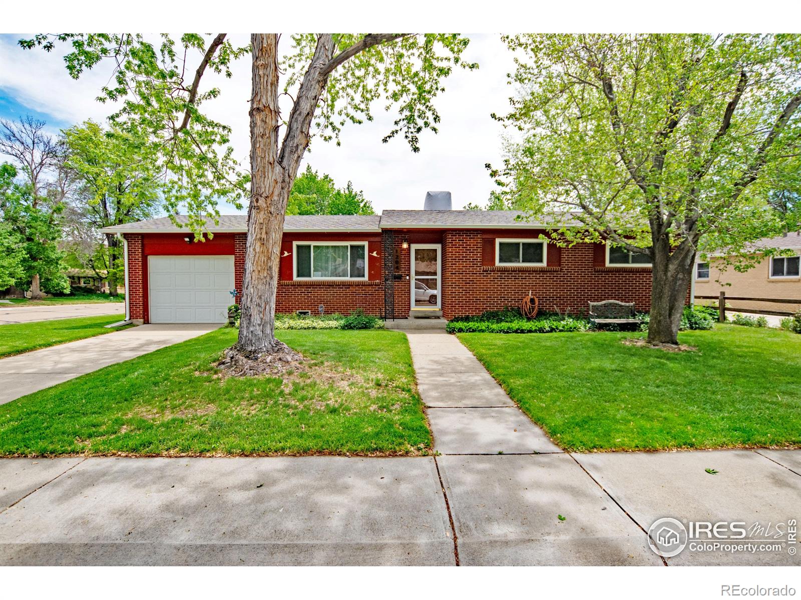 MLS Image #20 for 1204  sherri mar court,longmont, Colorado