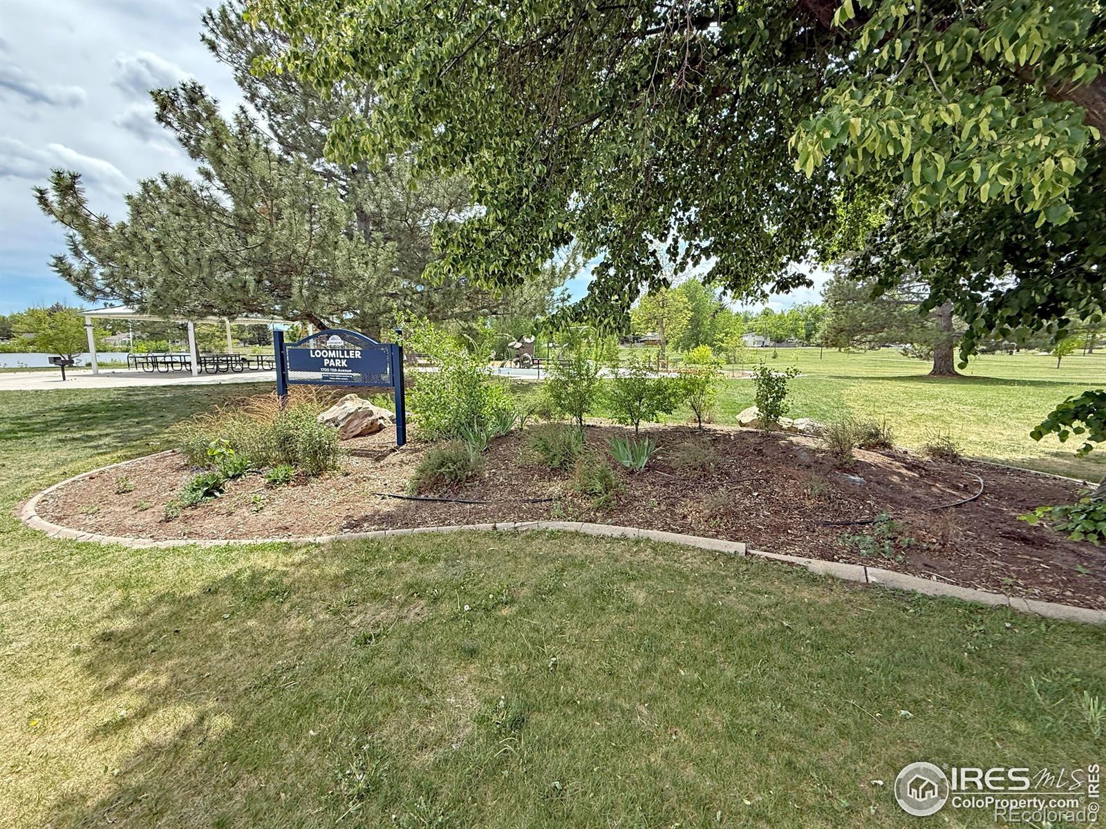 MLS Image #23 for 1204  sherri mar court,longmont, Colorado