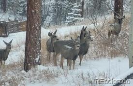 MLS Image #31 for 11827  brook road,golden, Colorado
