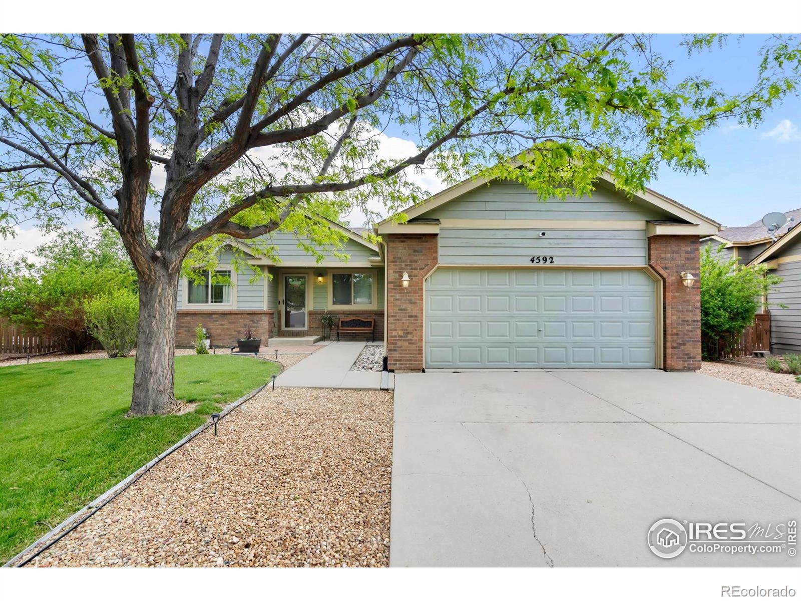 MLS Image #1 for 4592  hayler avenue,loveland, Colorado