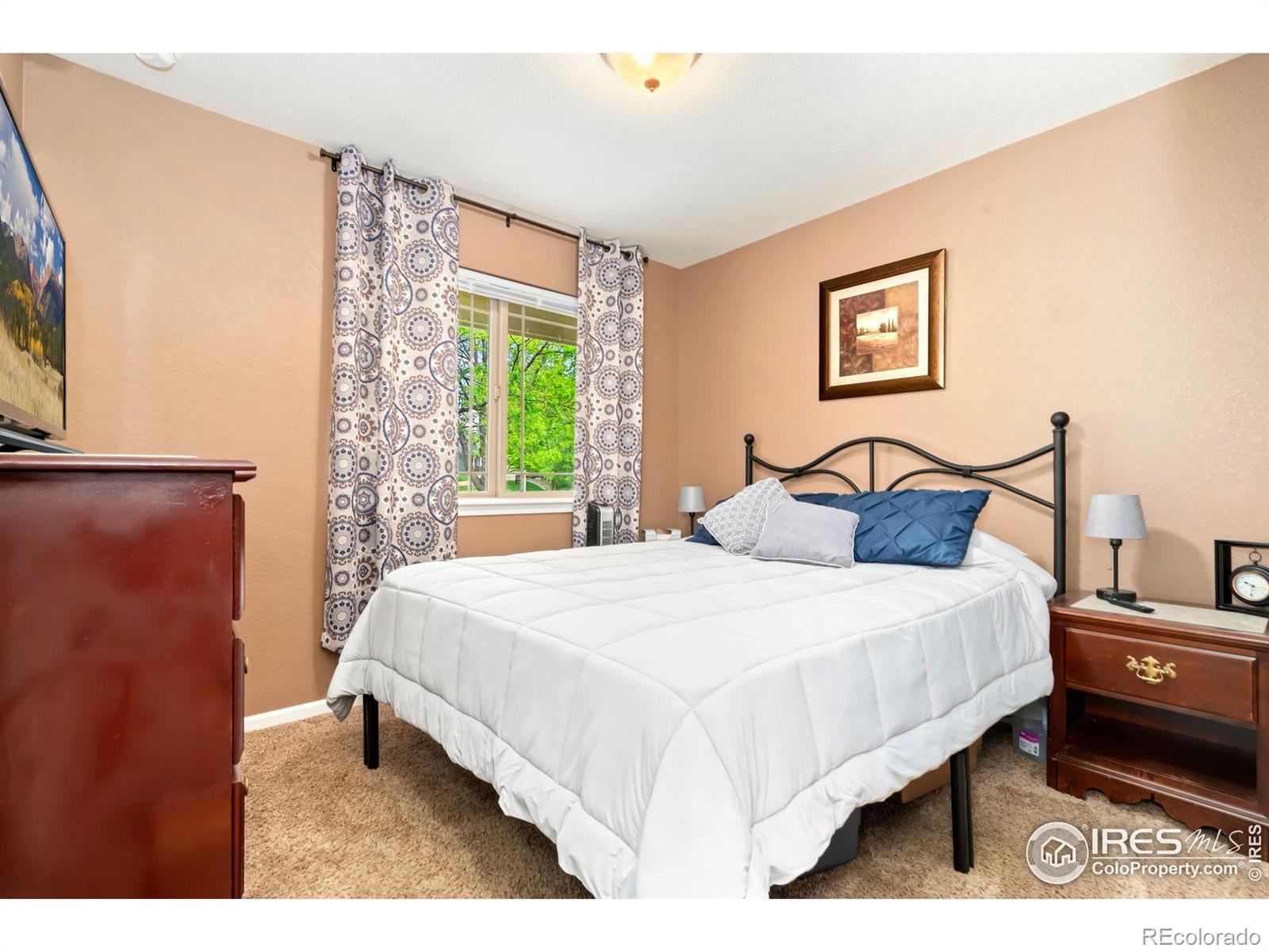 MLS Image #13 for 4592  hayler avenue,loveland, Colorado