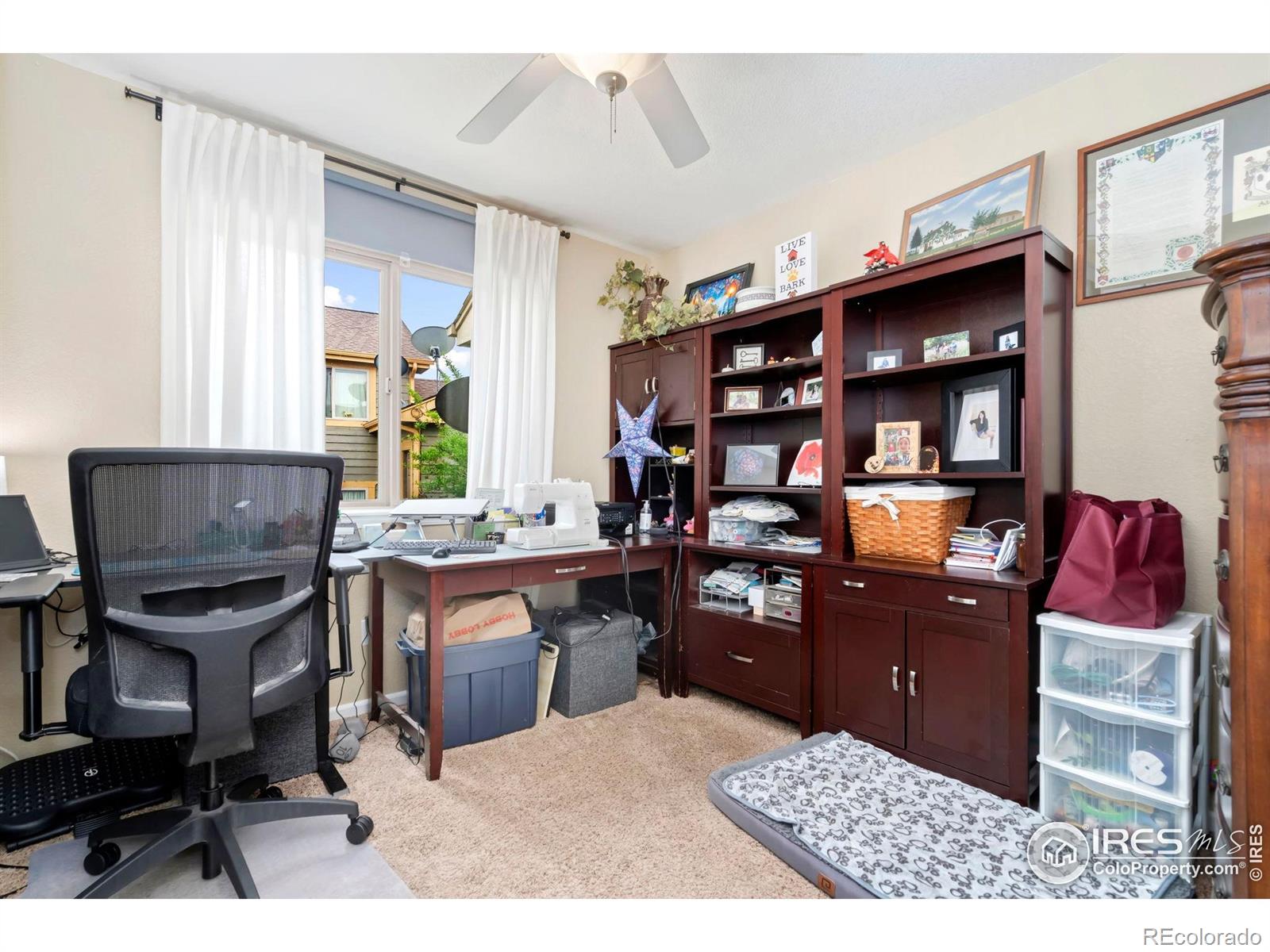 MLS Image #14 for 4592  hayler avenue,loveland, Colorado