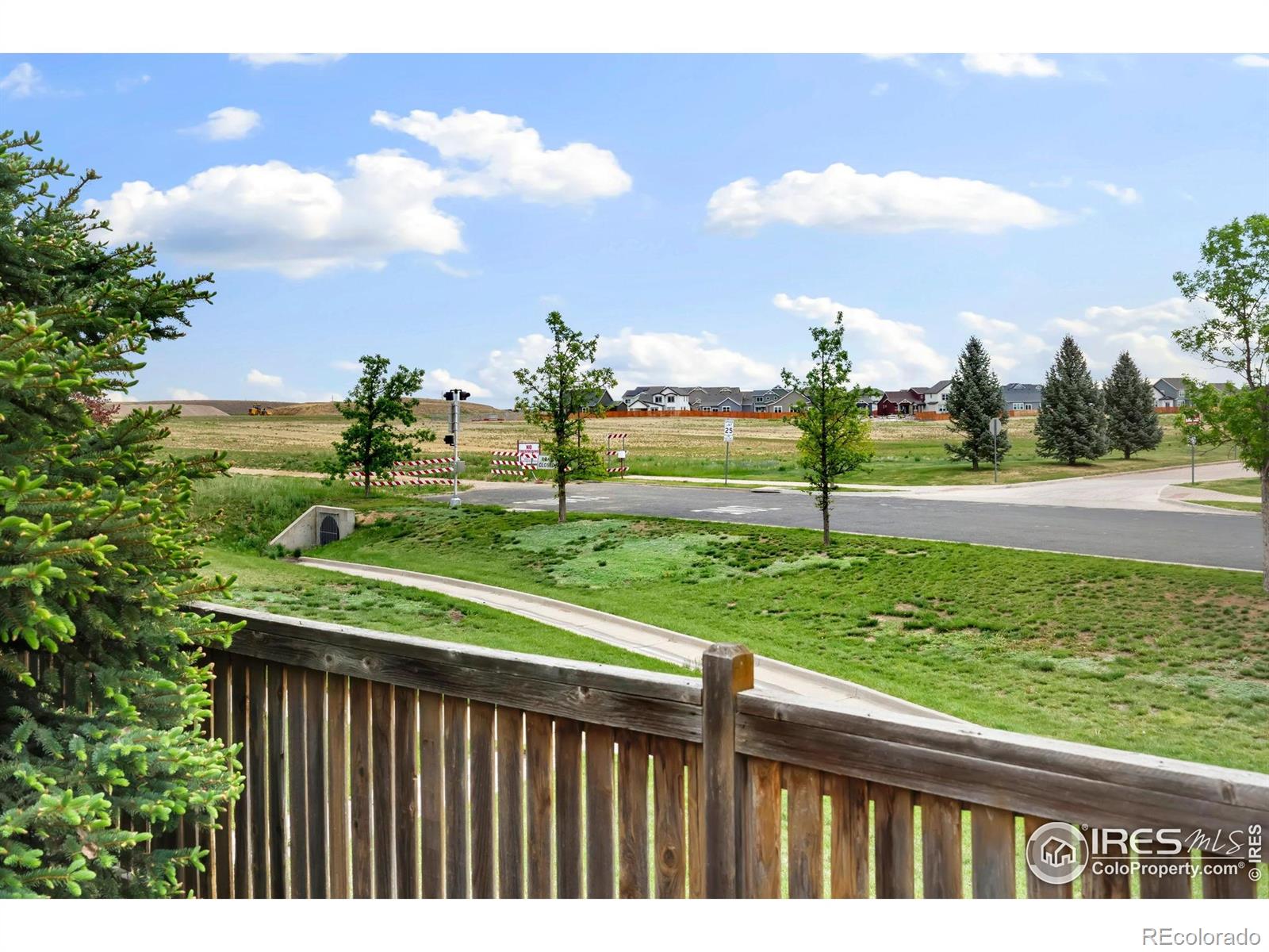 MLS Image #19 for 4592  hayler avenue,loveland, Colorado