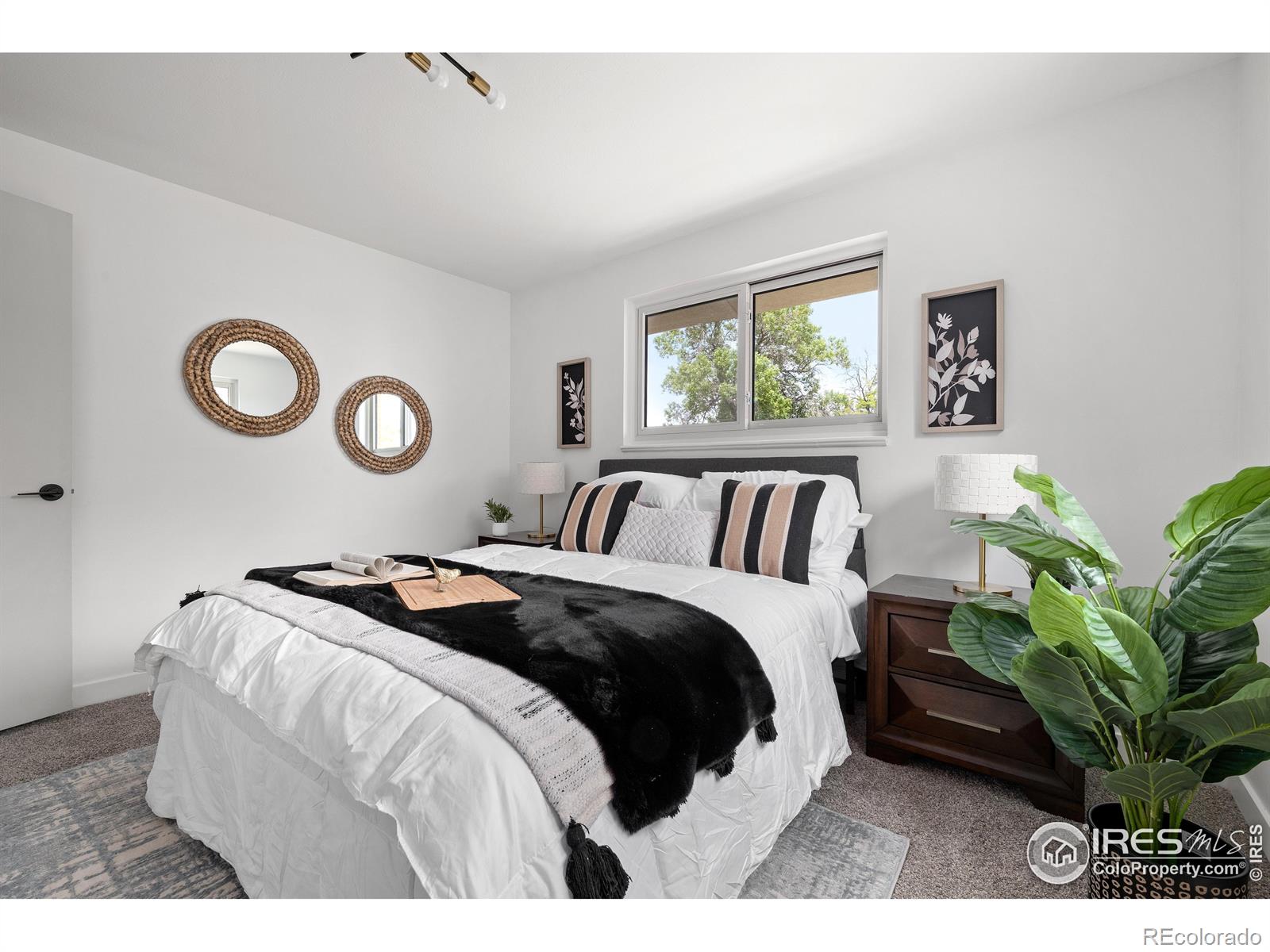 MLS Image #23 for 5329  flower circle,arvada, Colorado