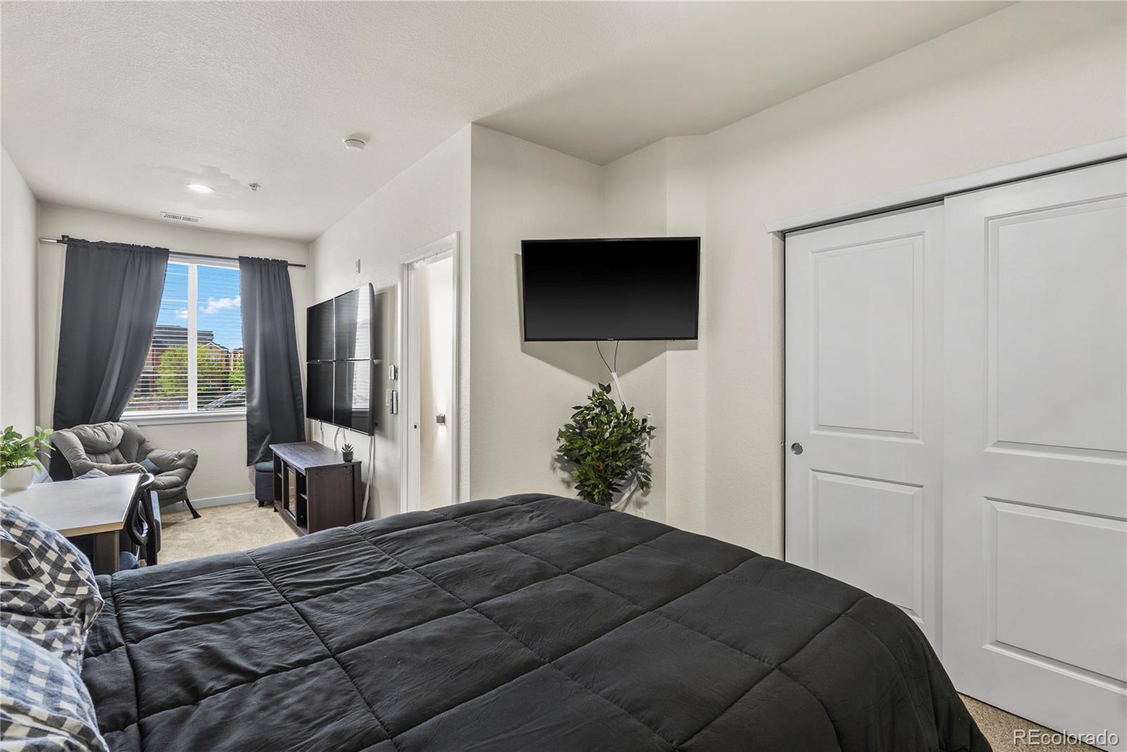 MLS Image #13 for 4100  albion street,denver, Colorado