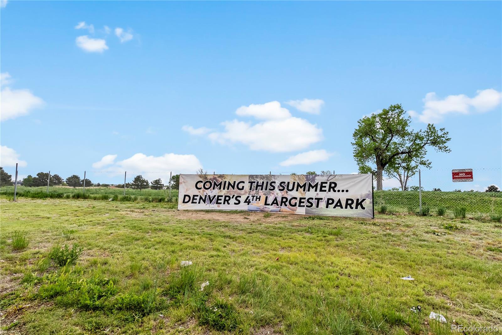 MLS Image #19 for 4100  albion street,denver, Colorado