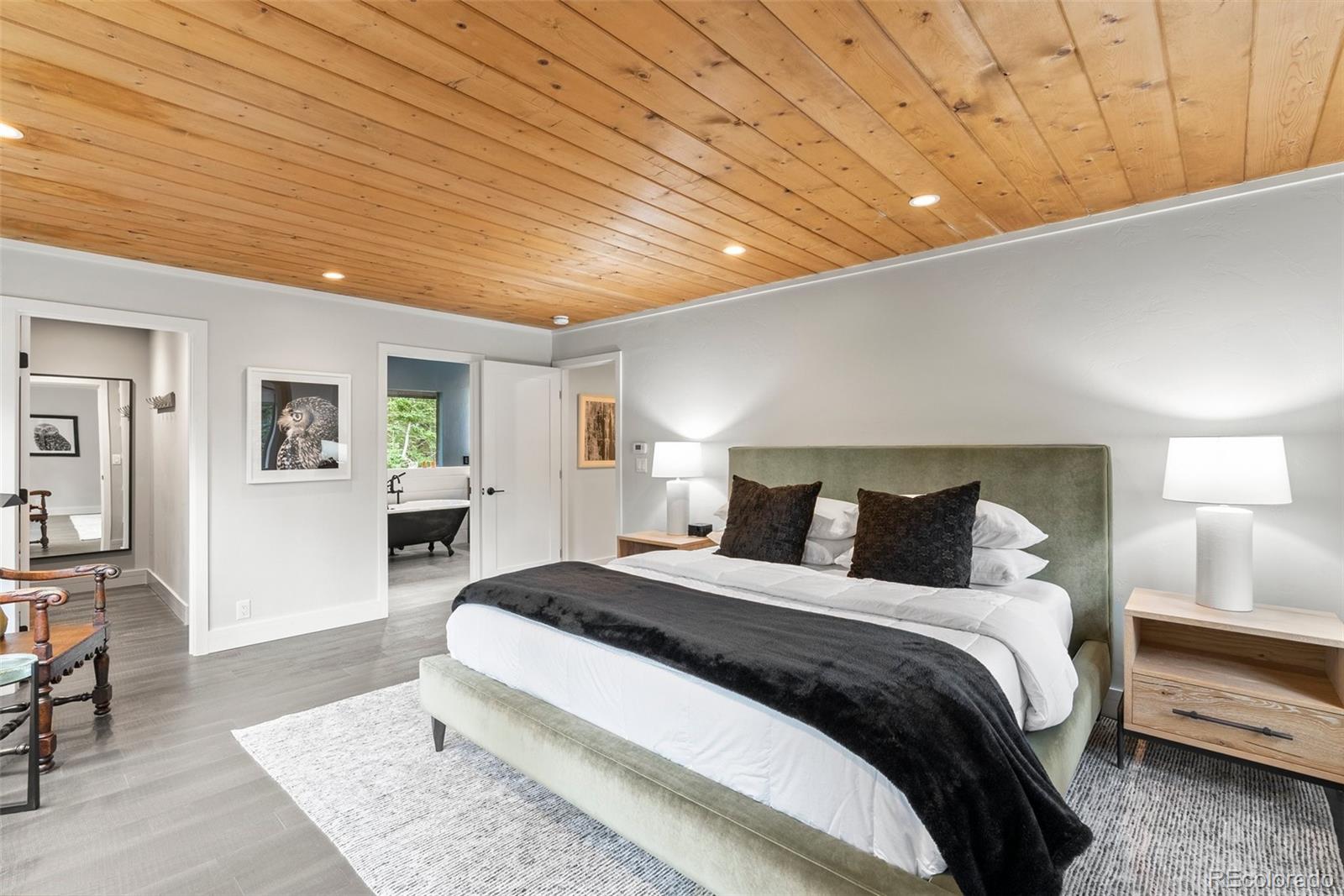 MLS Image #13 for 592  brook drive,idaho springs, Colorado