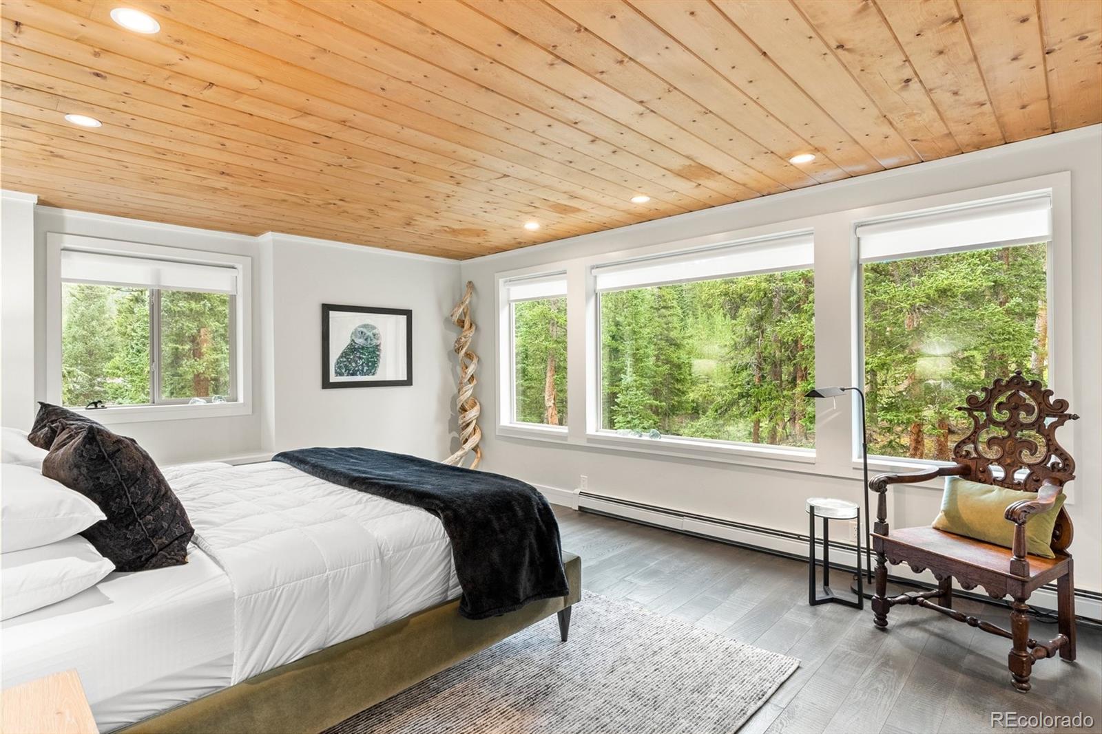 MLS Image #14 for 592  brook drive,idaho springs, Colorado