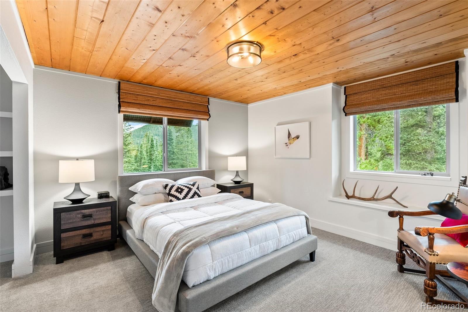 MLS Image #18 for 592  brook drive,idaho springs, Colorado