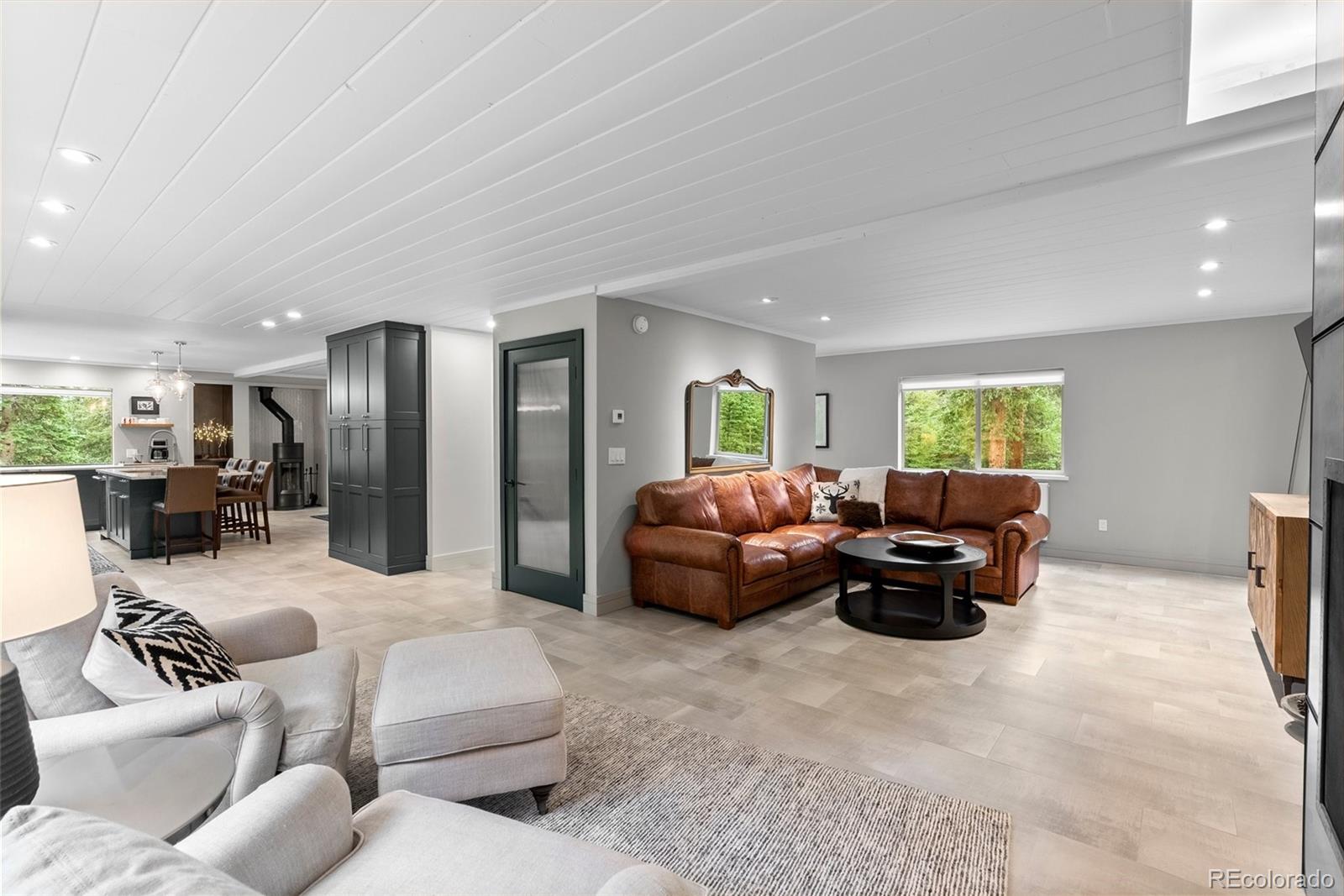 MLS Image #6 for 592  brook drive,idaho springs, Colorado
