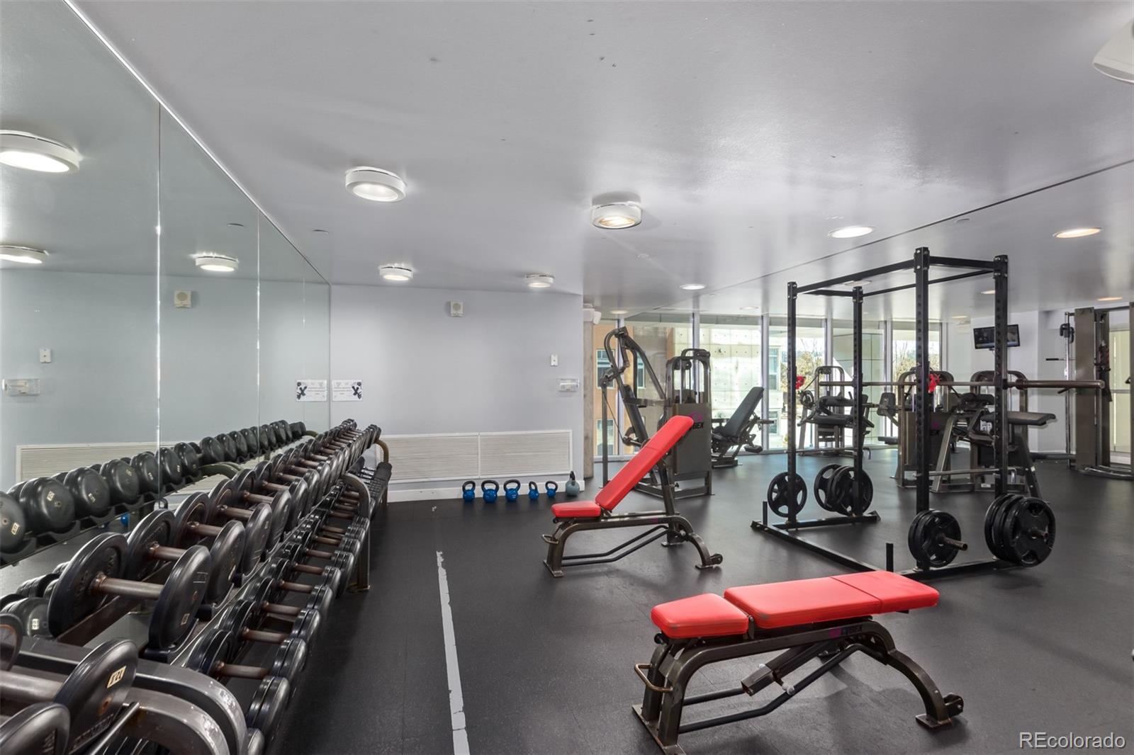 MLS Image #25 for 1700  bassett street,denver, Colorado