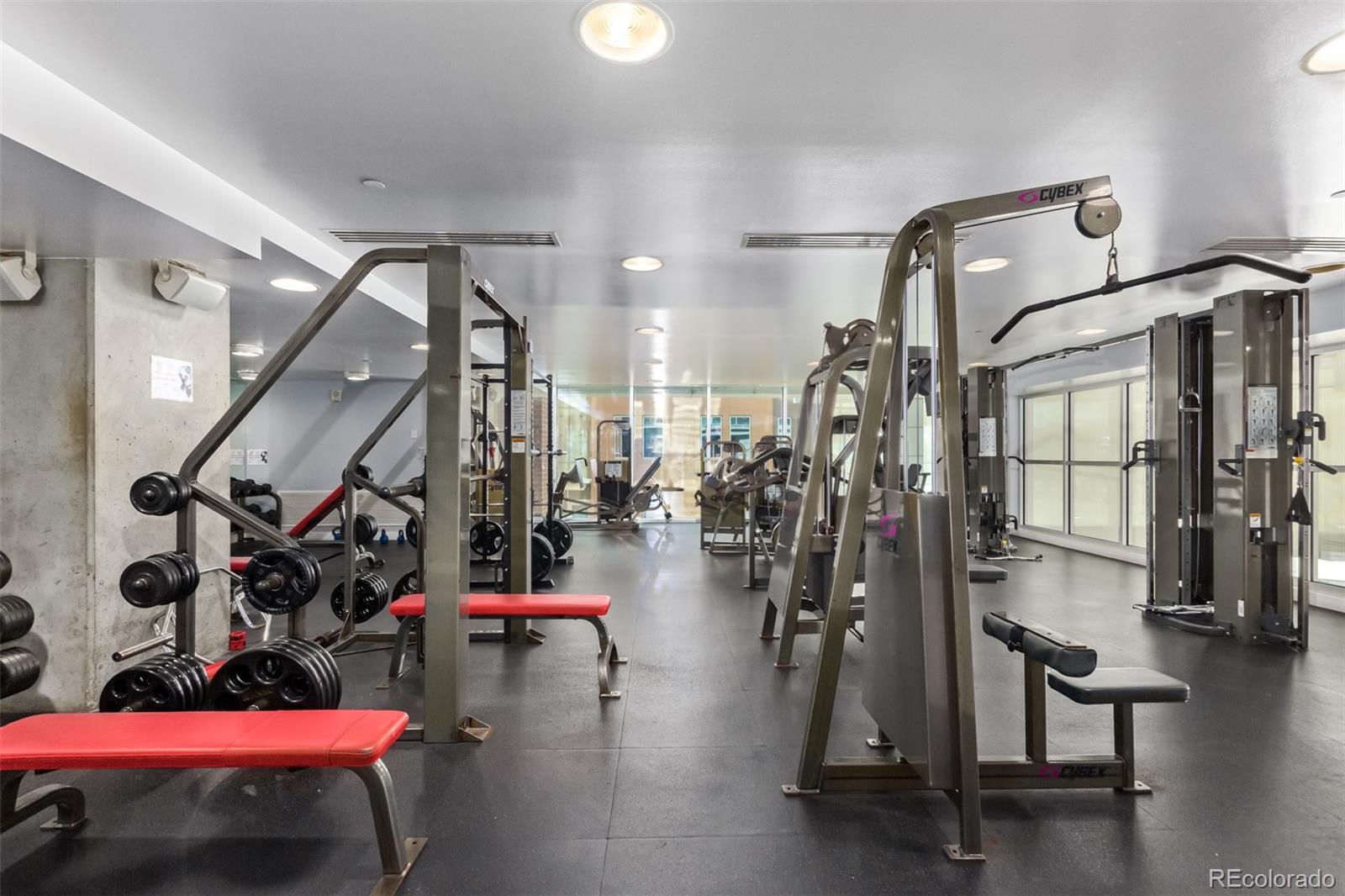 MLS Image #27 for 1700  bassett street,denver, Colorado