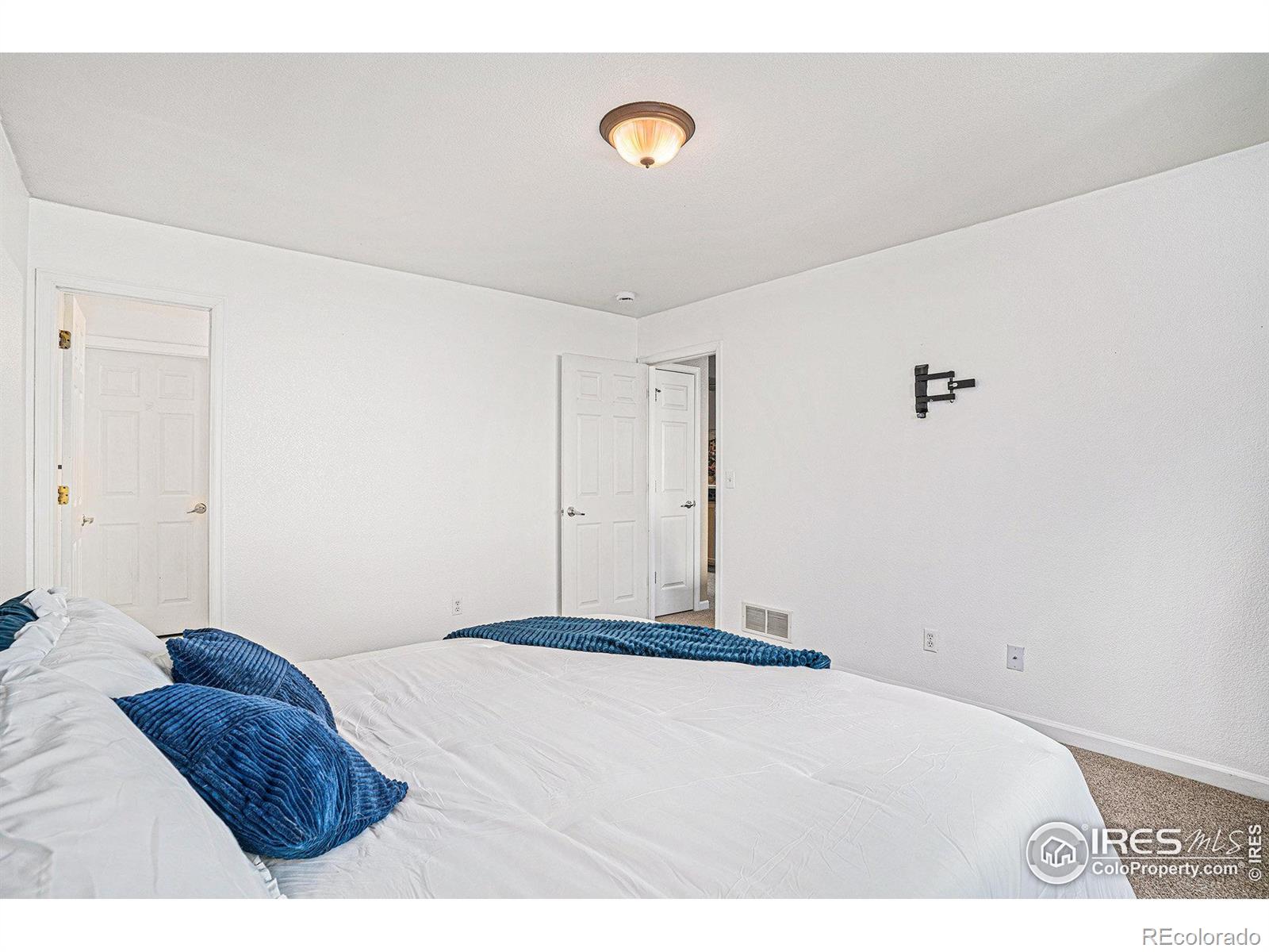 MLS Image #12 for 3525  auntie stone street,fort collins, Colorado